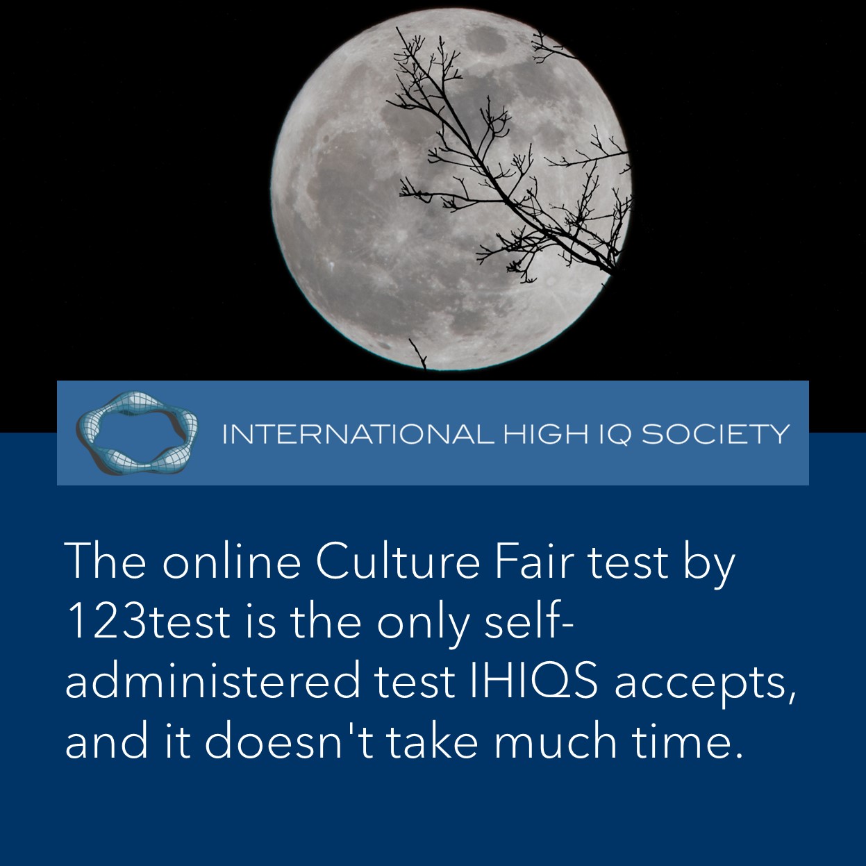 International - The online Culture Fair test by 123test BV is the only ...