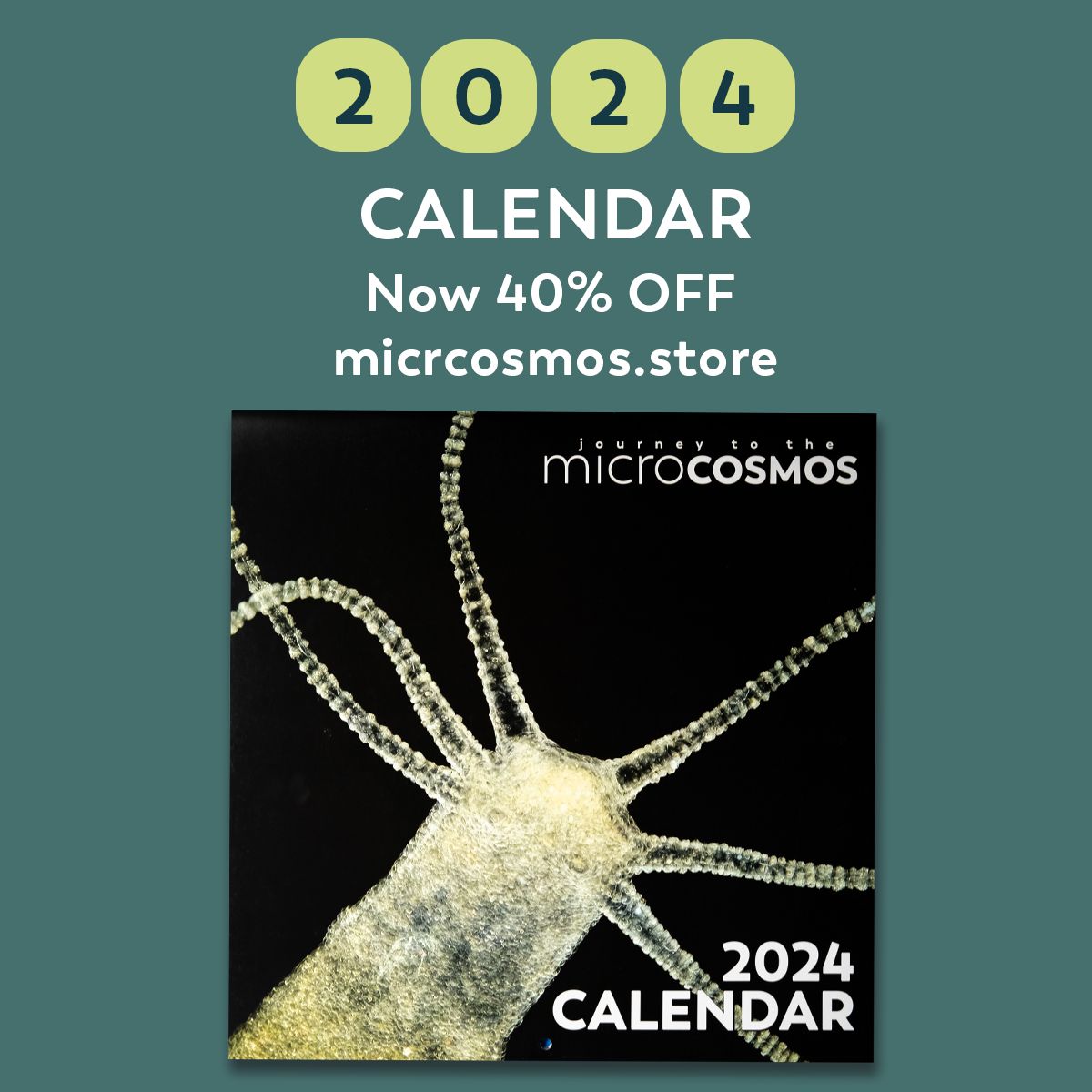 Our 2024 calendar is now 40%... - Journey to the Microcosmos | Facebook