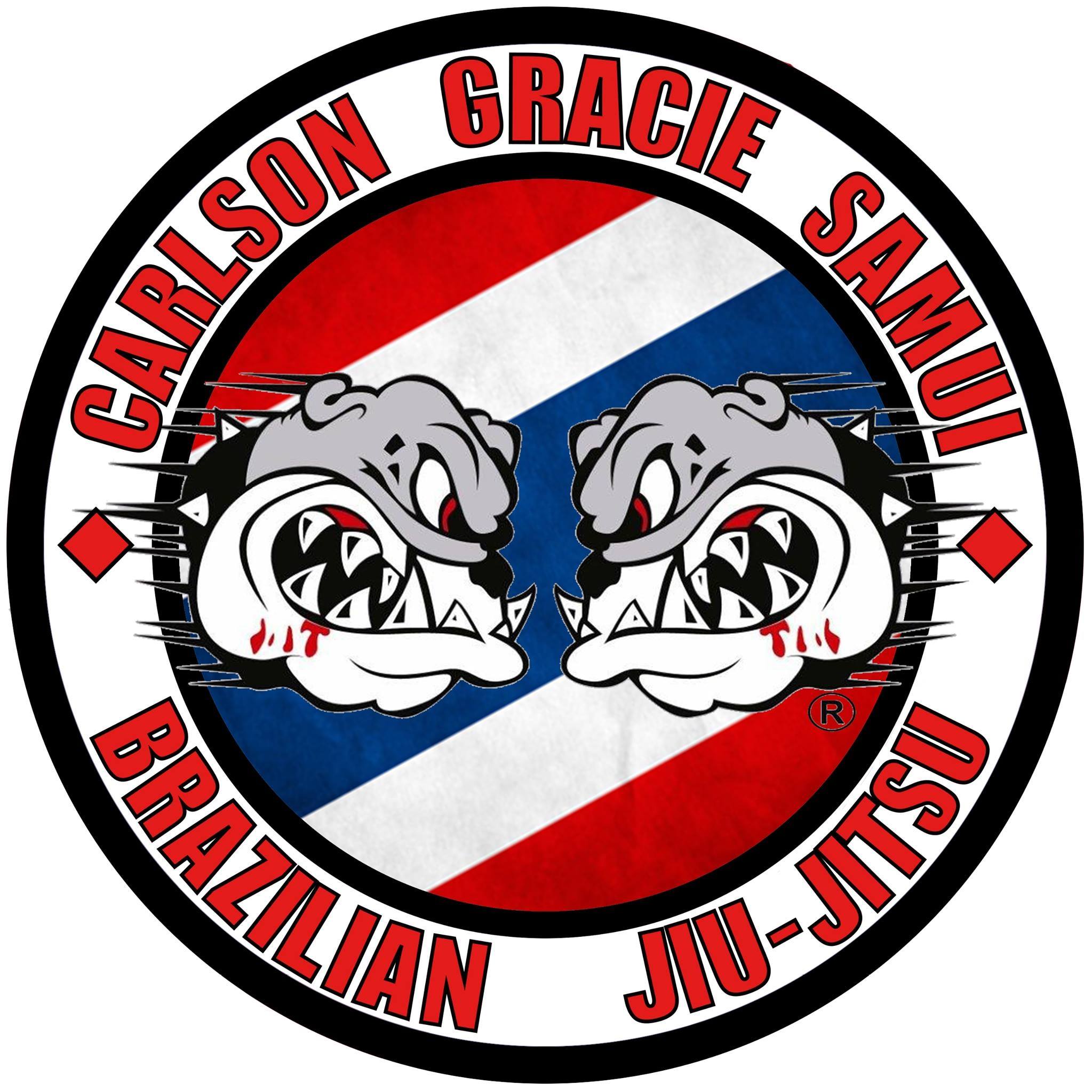 Brazilian Gracie Jiu Jjitsu MMA Custom Bjj Embroidery Gi Patches