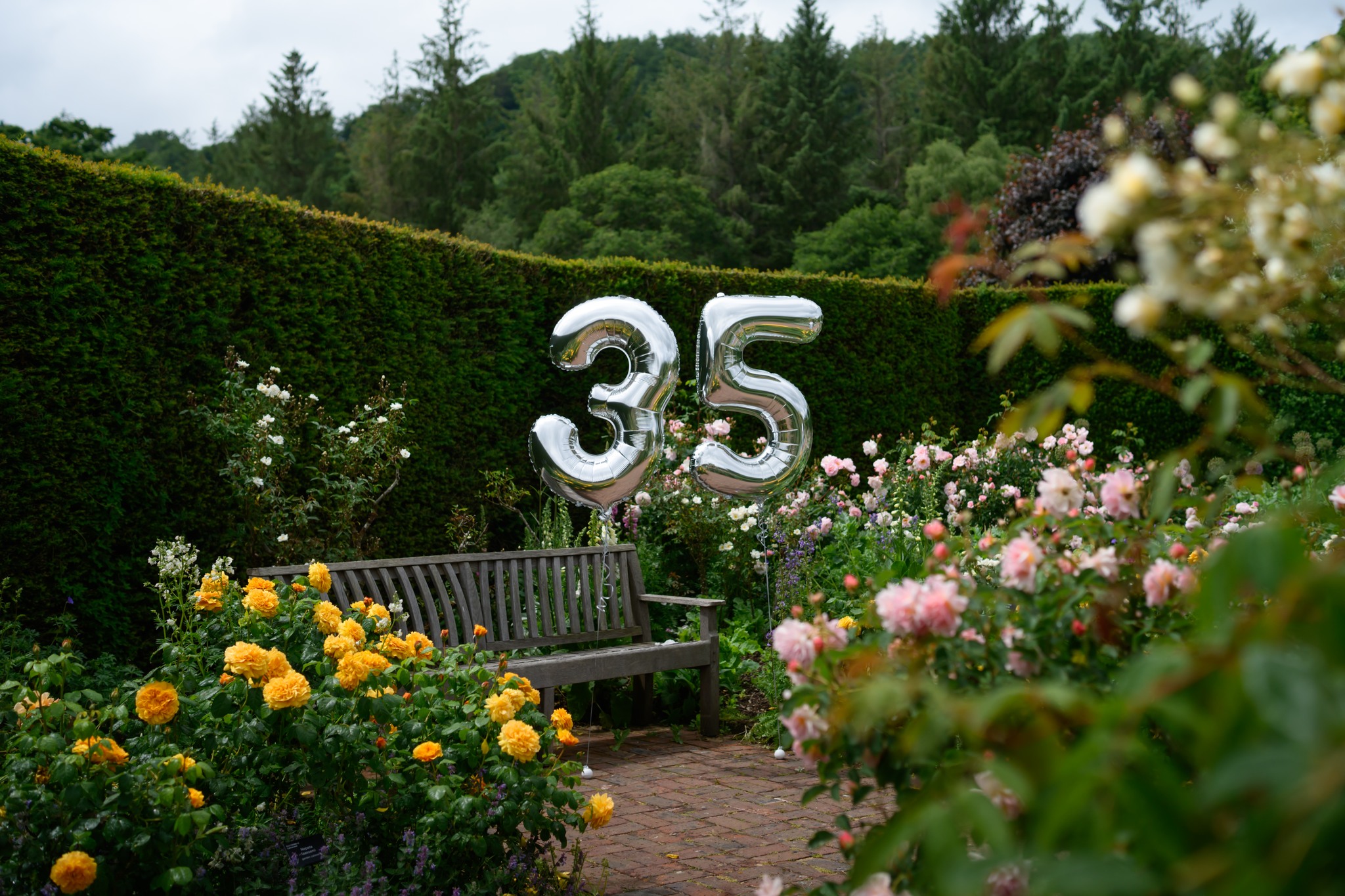 RHS - 🎊 RHS Rosemoor opened its gates for the very first time 35 years ...