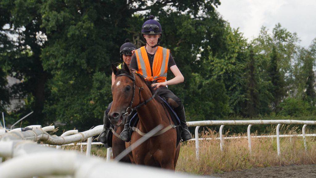 Shark Hanlon Racing Club