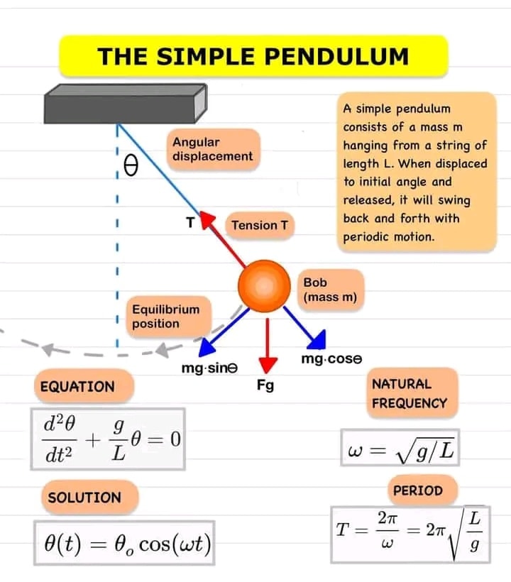 Physics INN - The simple pendulum 1st year physics Simple... | Facebook