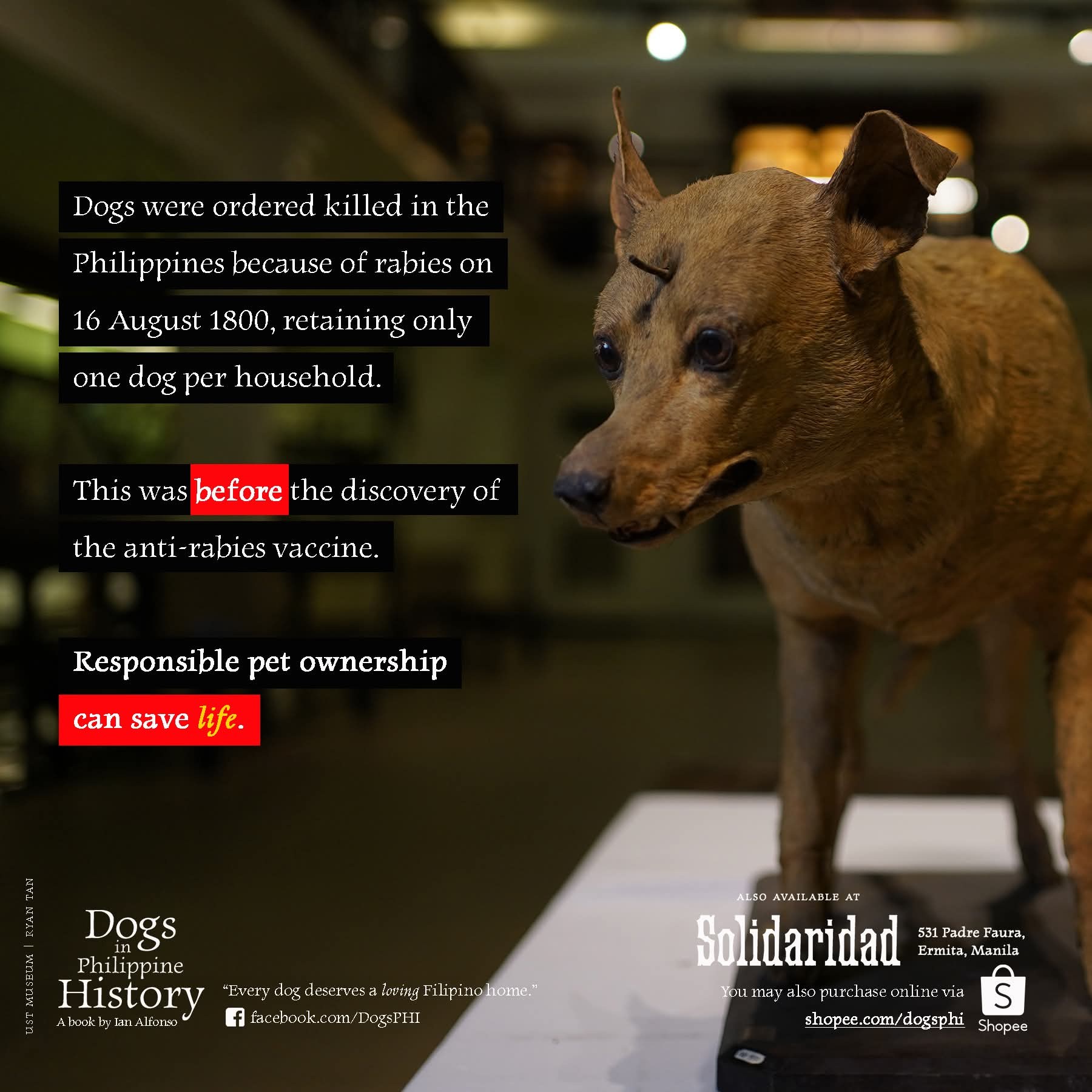 We've been fighting rabies... - Dogs in Philippine History | Facebook