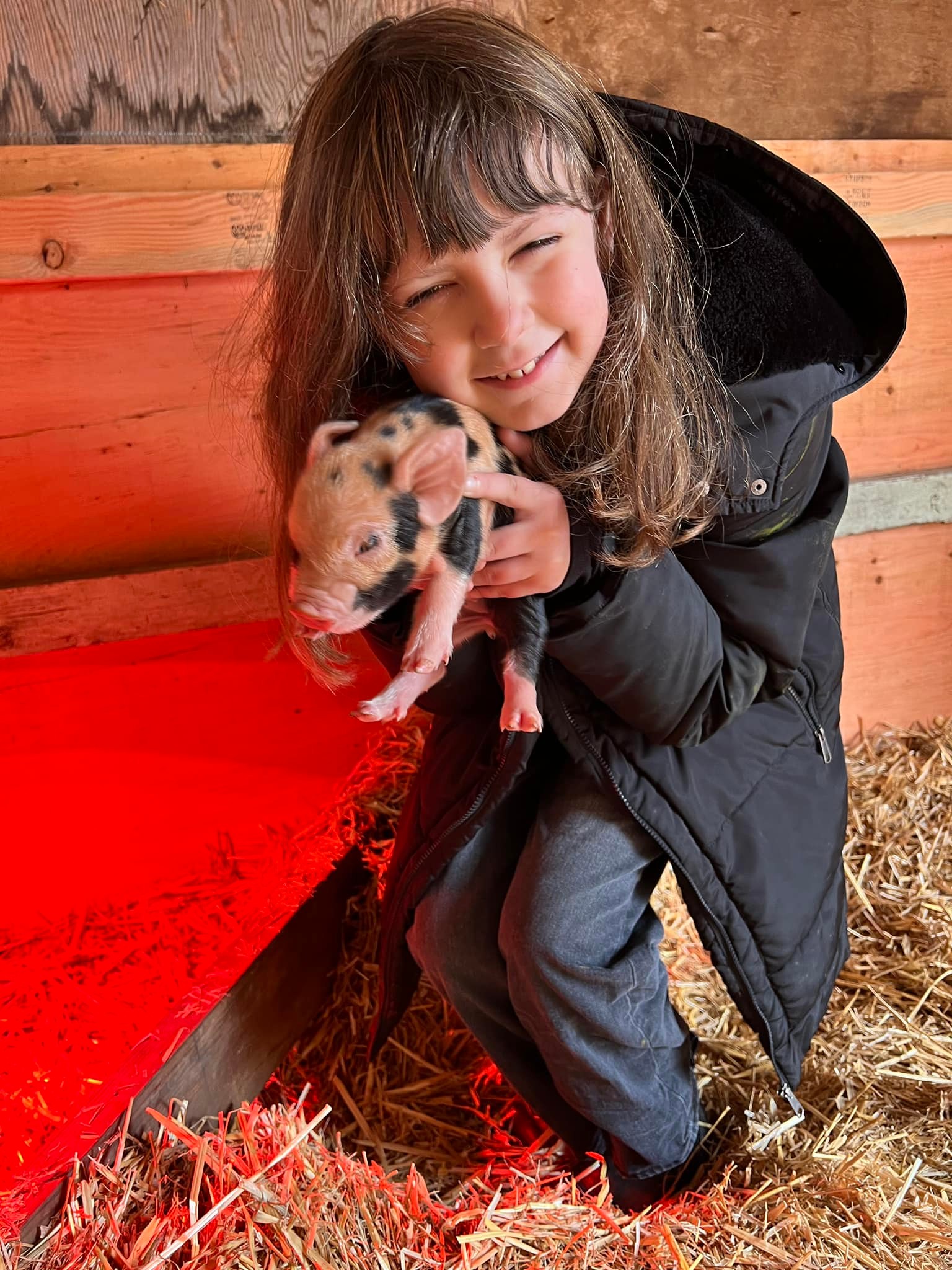 The Gornick Family Farm