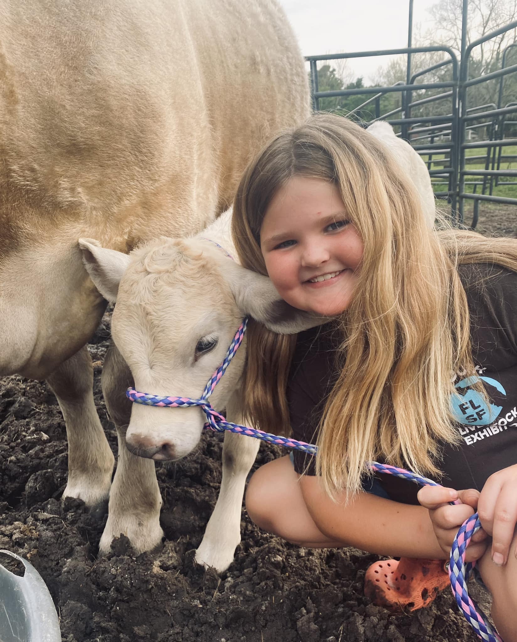 Triple R Farm | Ocala FL