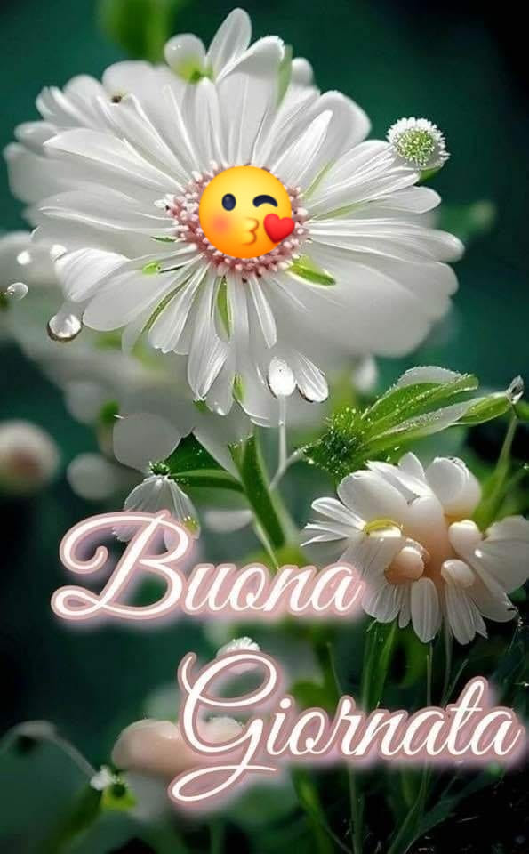 Buongiorno e Buonanotte - Buona Giornata! | Facebook