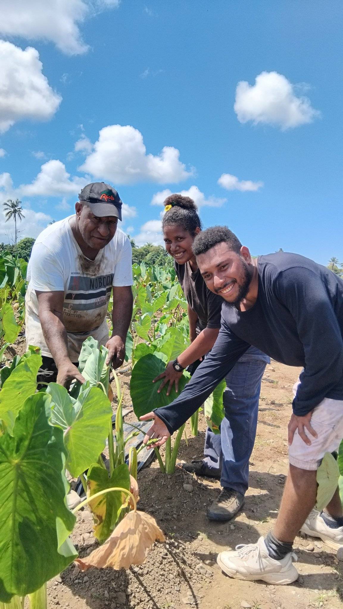 One of the world's oldest cultivated crops is getting a climate