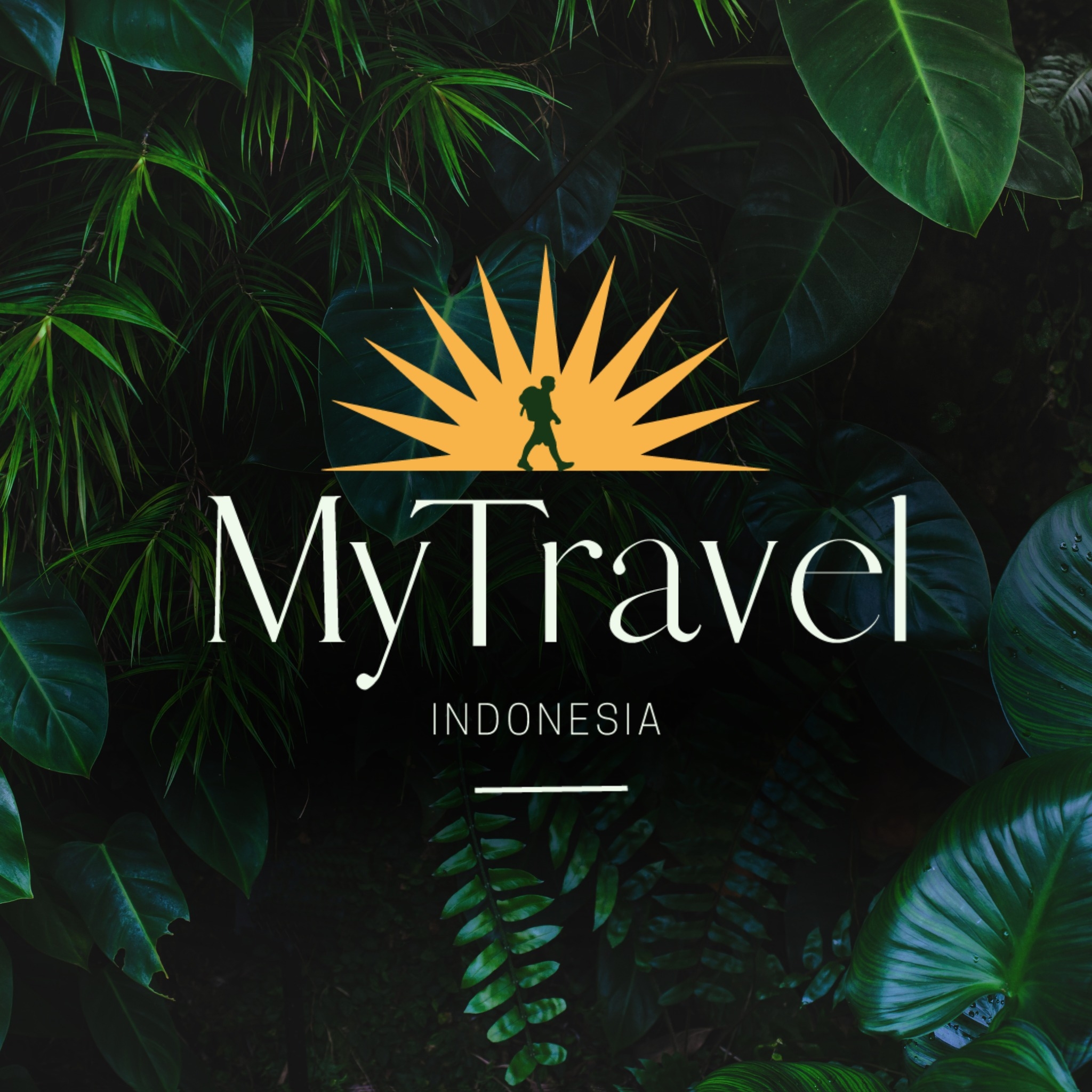 Bali Tourist Info | The Javan Eagle is one of the most endangered ...