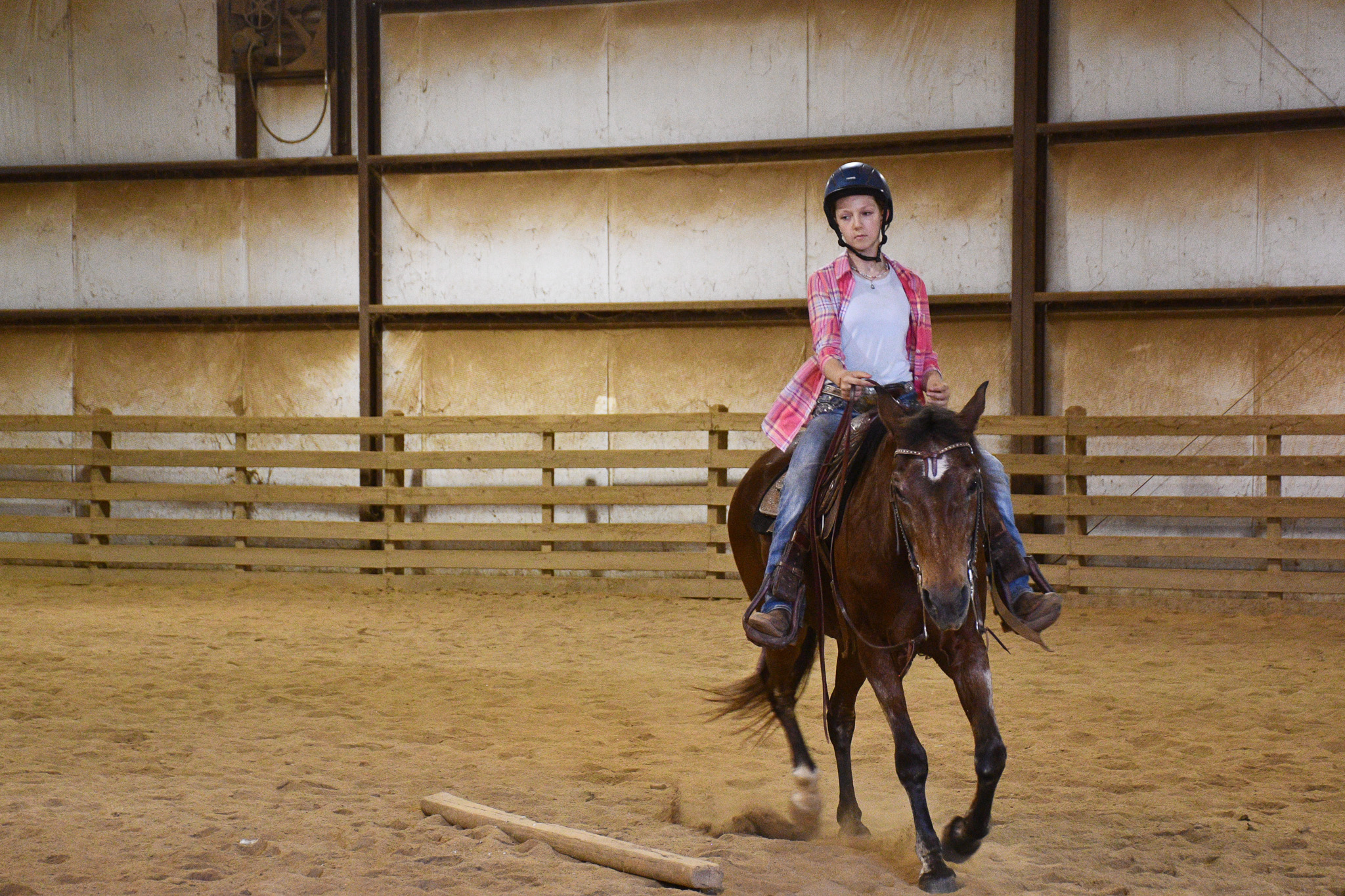 Oglethorpe - For Abby and Emma Gabriel, horses aren’t just a hobby ...