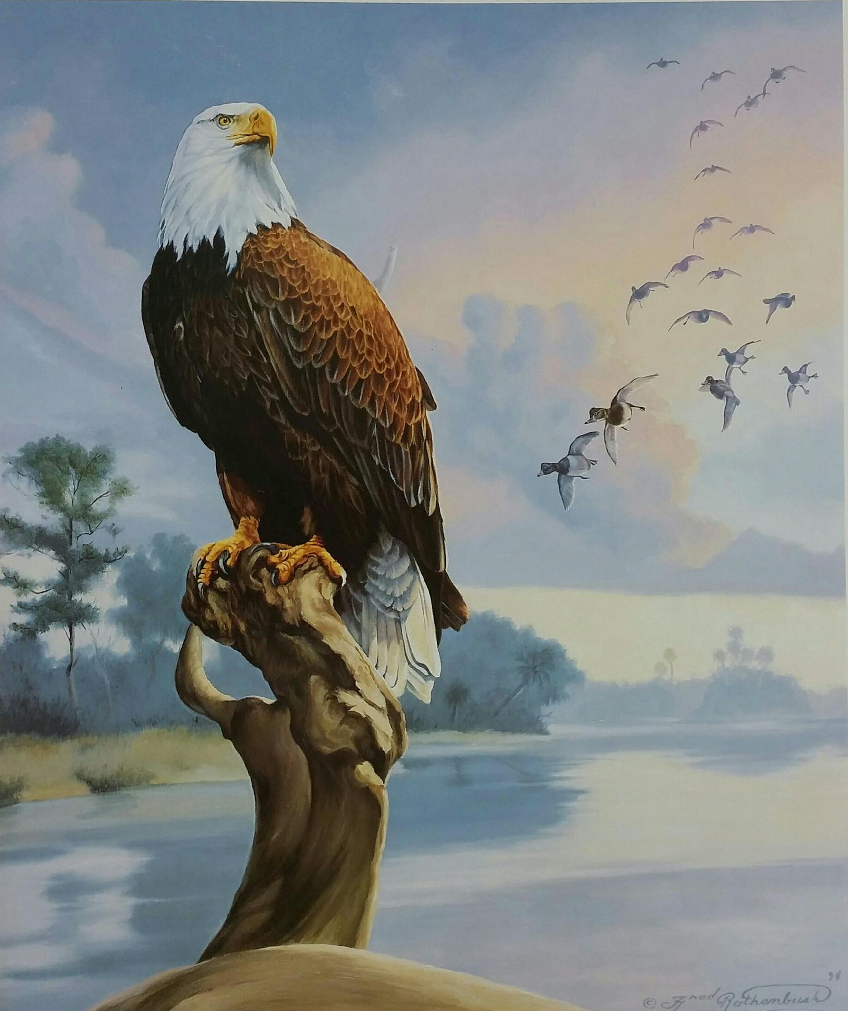 Fred Rothenbush Artwork