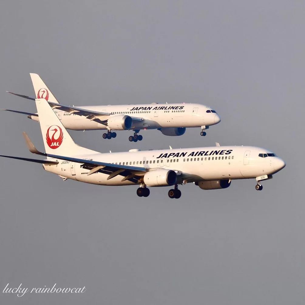 ANA Boeing 737s at Tokyo Haneda Airport