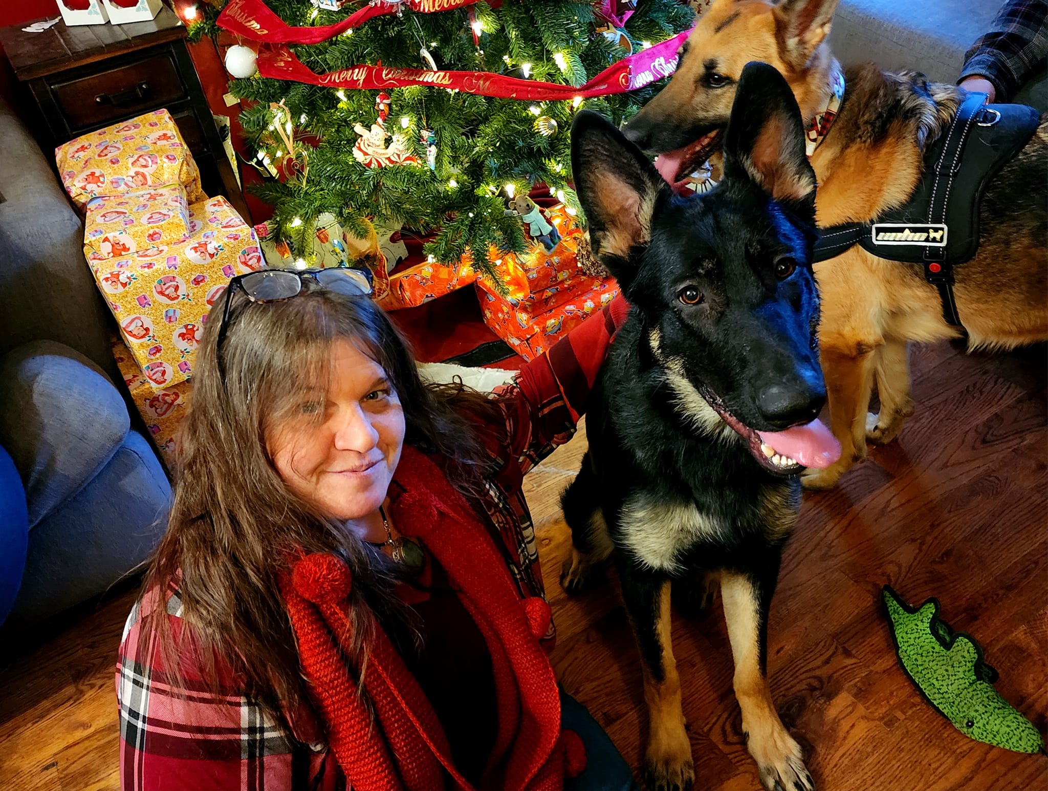 A Christmas Miracle!! Ronin, now... - The Last Resort Rescue