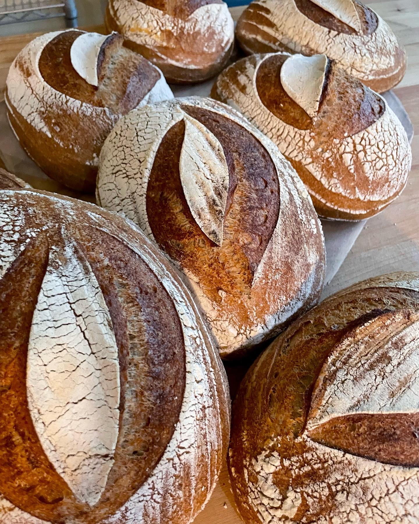 Nomad Bakery - It takes a while to get to know the nuances... | Facebook