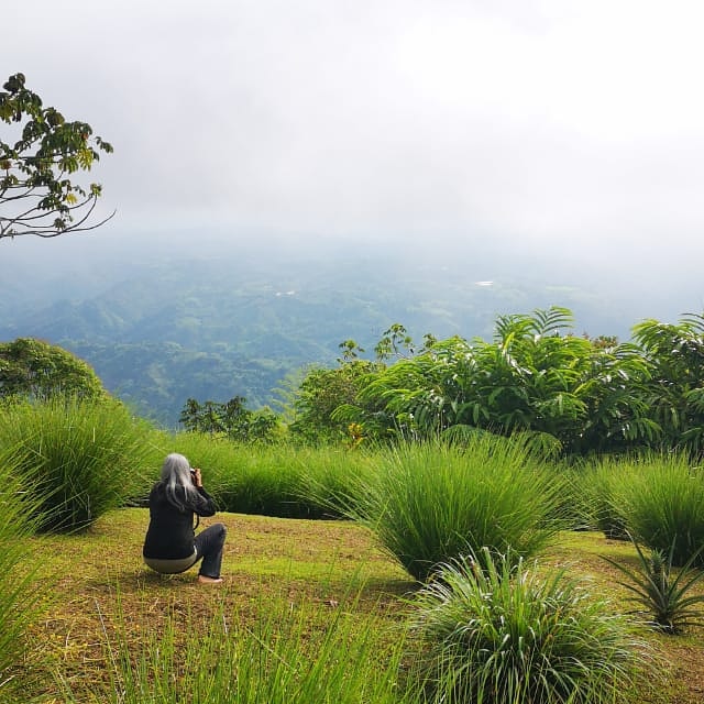 Vetiver Farms... - Vetiver Farms Philippines - VGFT