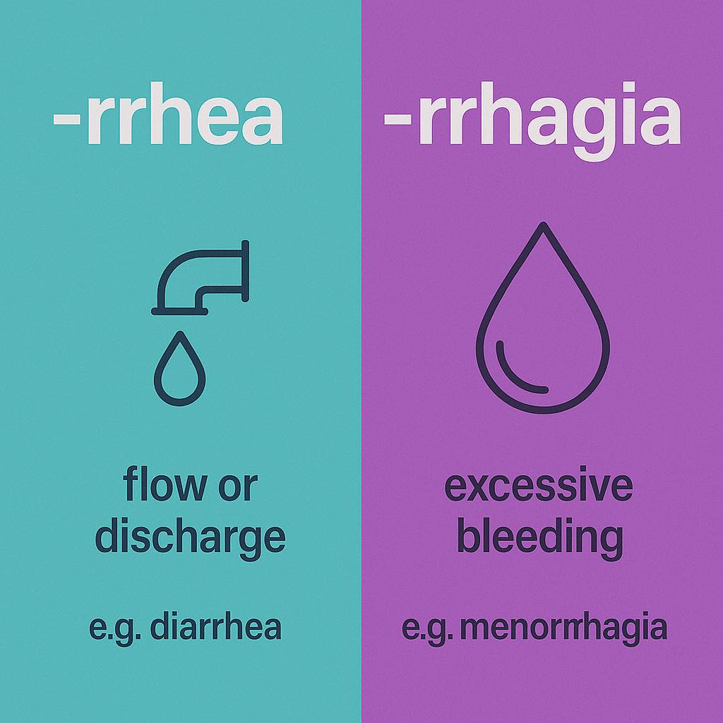 -rrhea vs -rrhagia... - Legacy Education: Medical Coding | Facebook