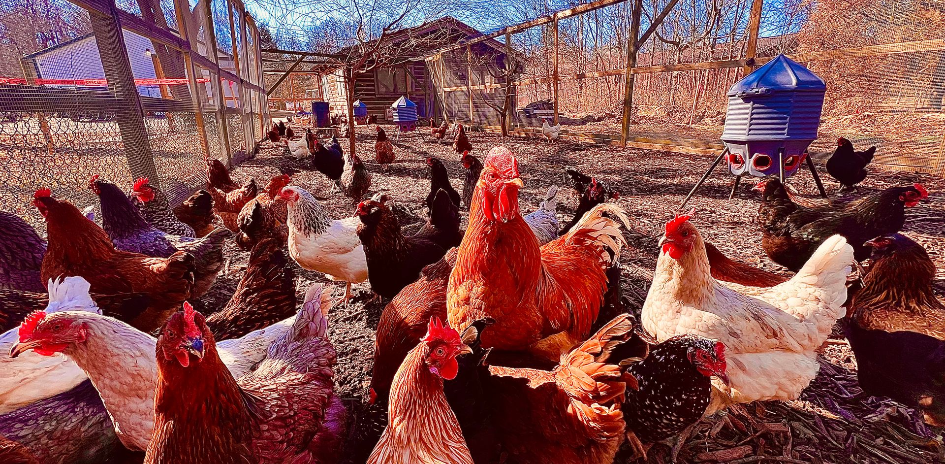Farm fresh deals you don’t want... - Driving Wind Farm & Cafe | Facebook