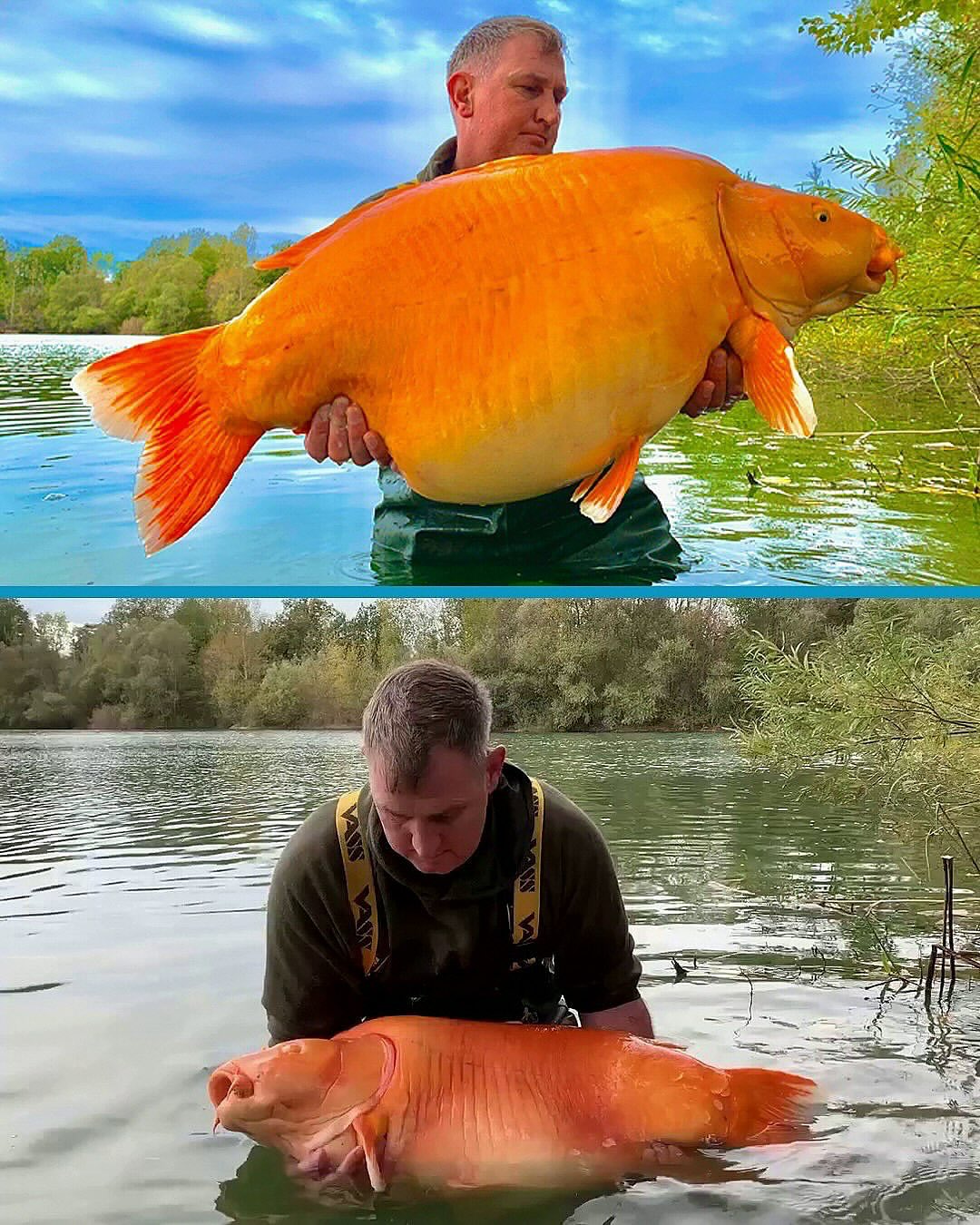 Viral - In 2022, British angler Andy Hackett reeled in a record ...