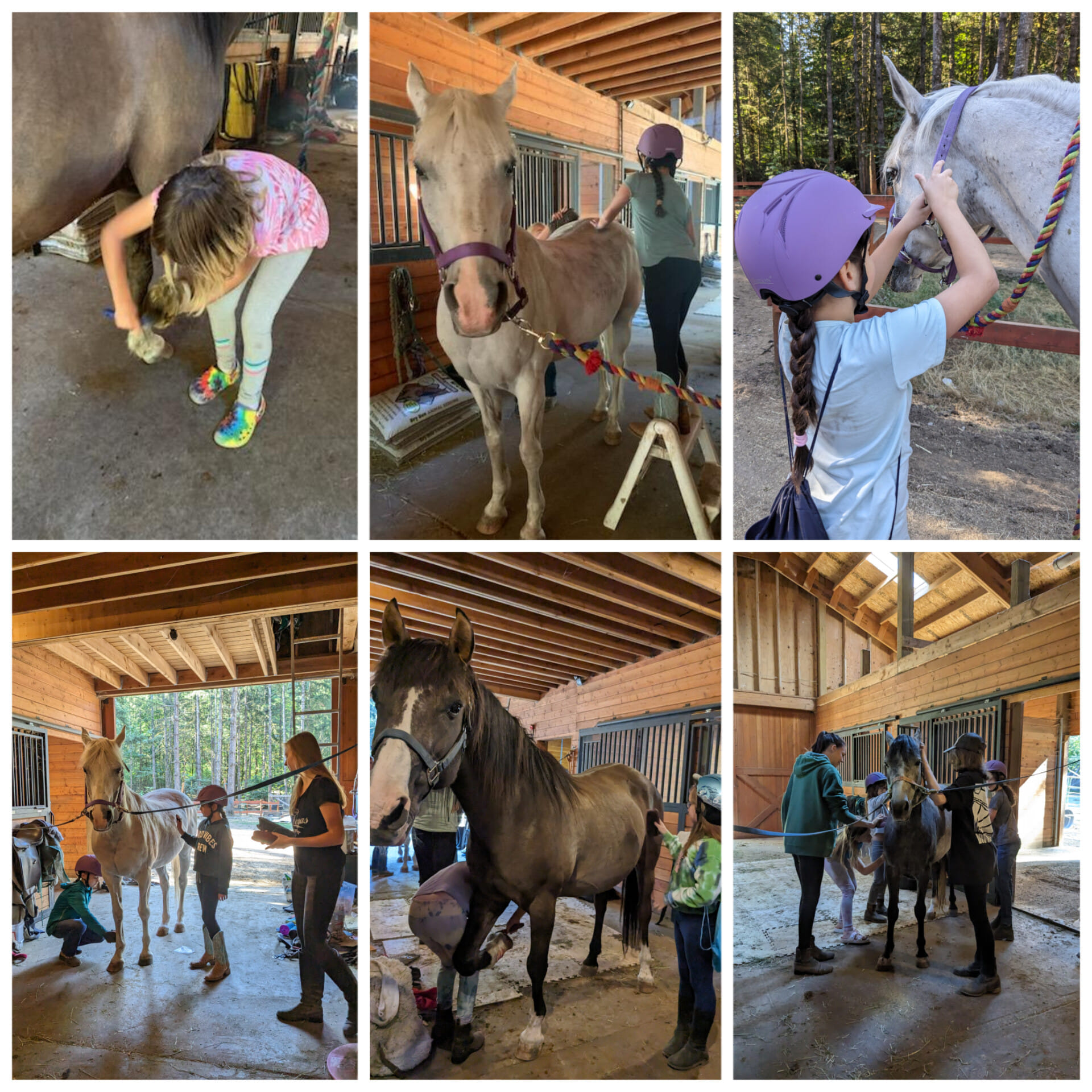 Four Winds Riding Center | Gig Harbor WA