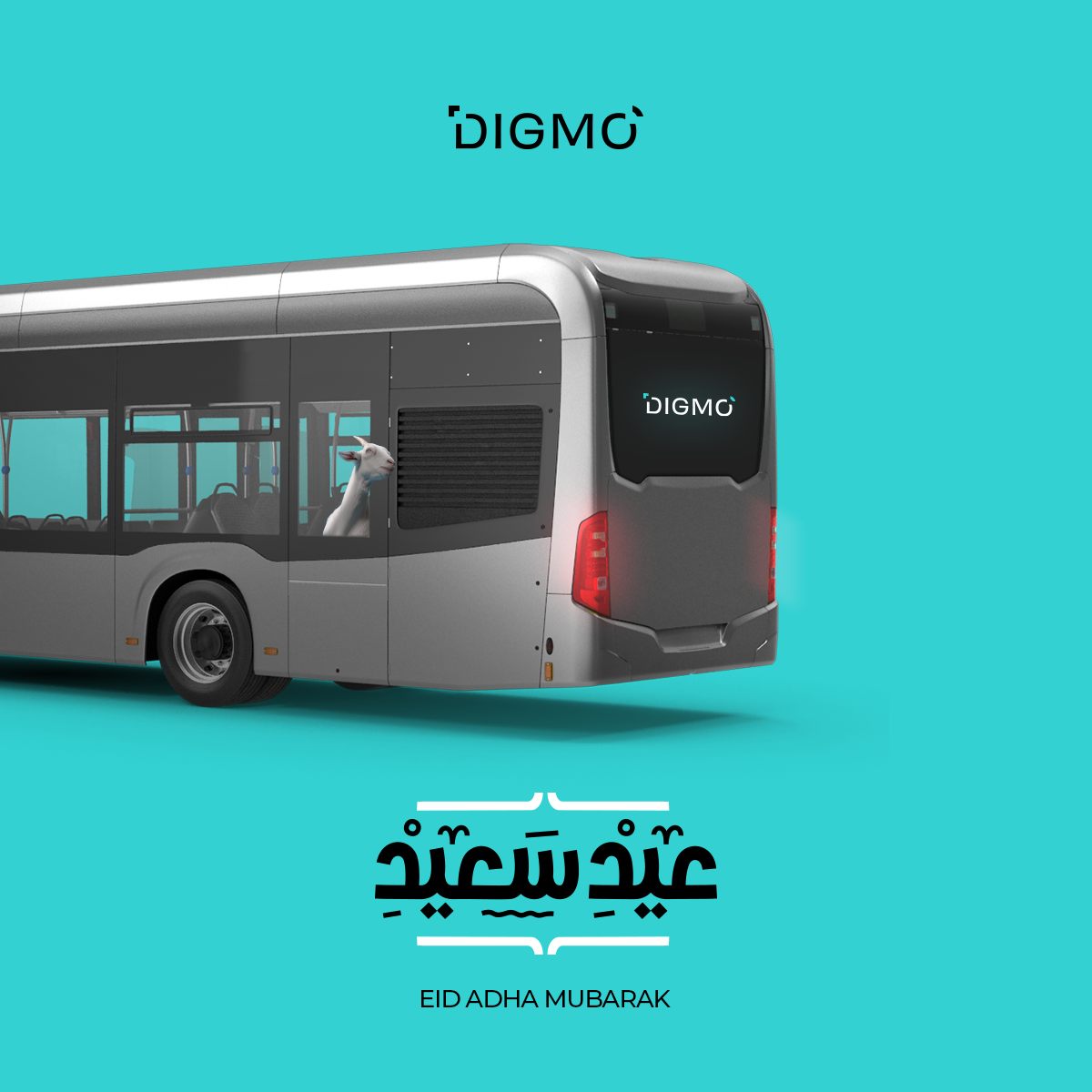 Digmo