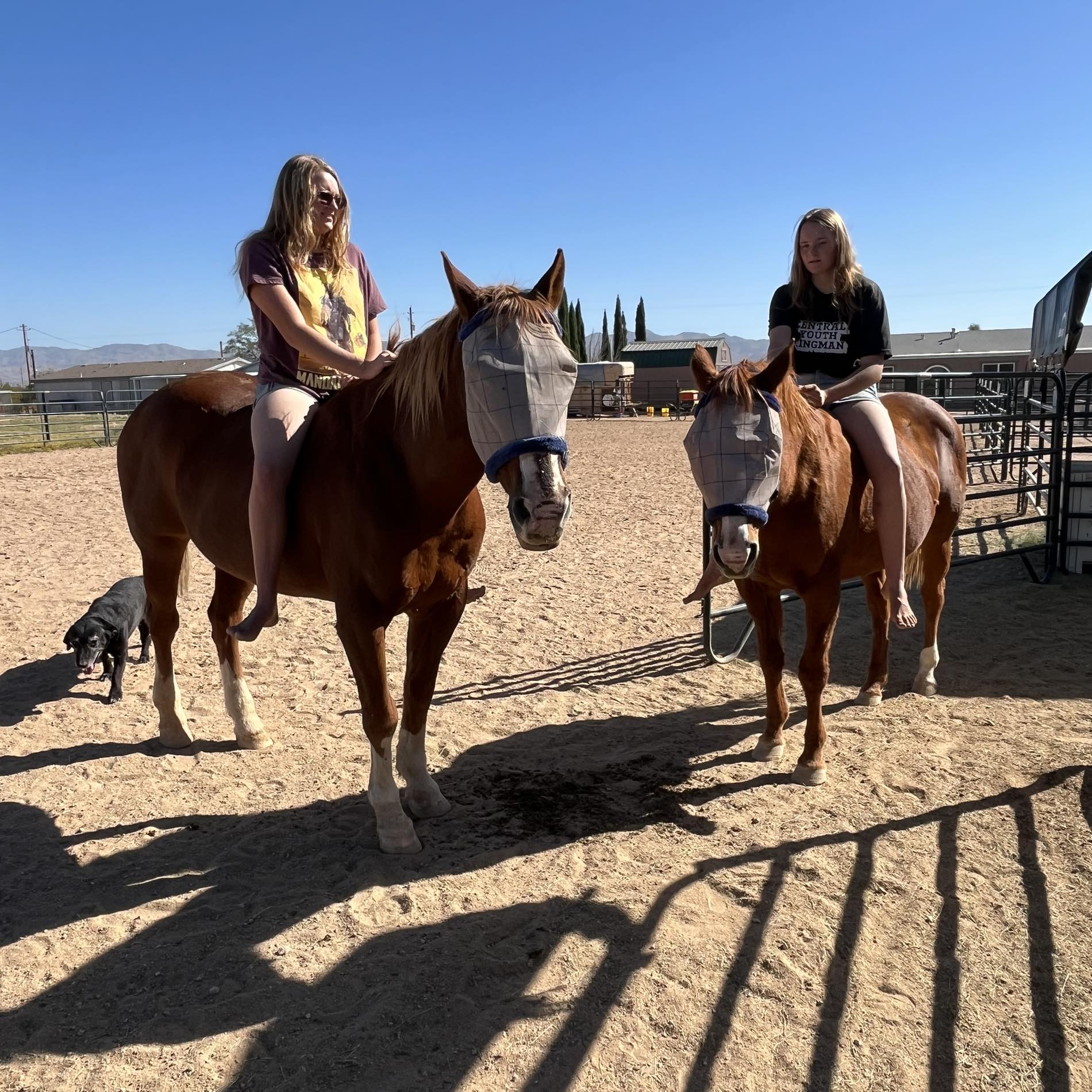 Pinto Ridge Riders