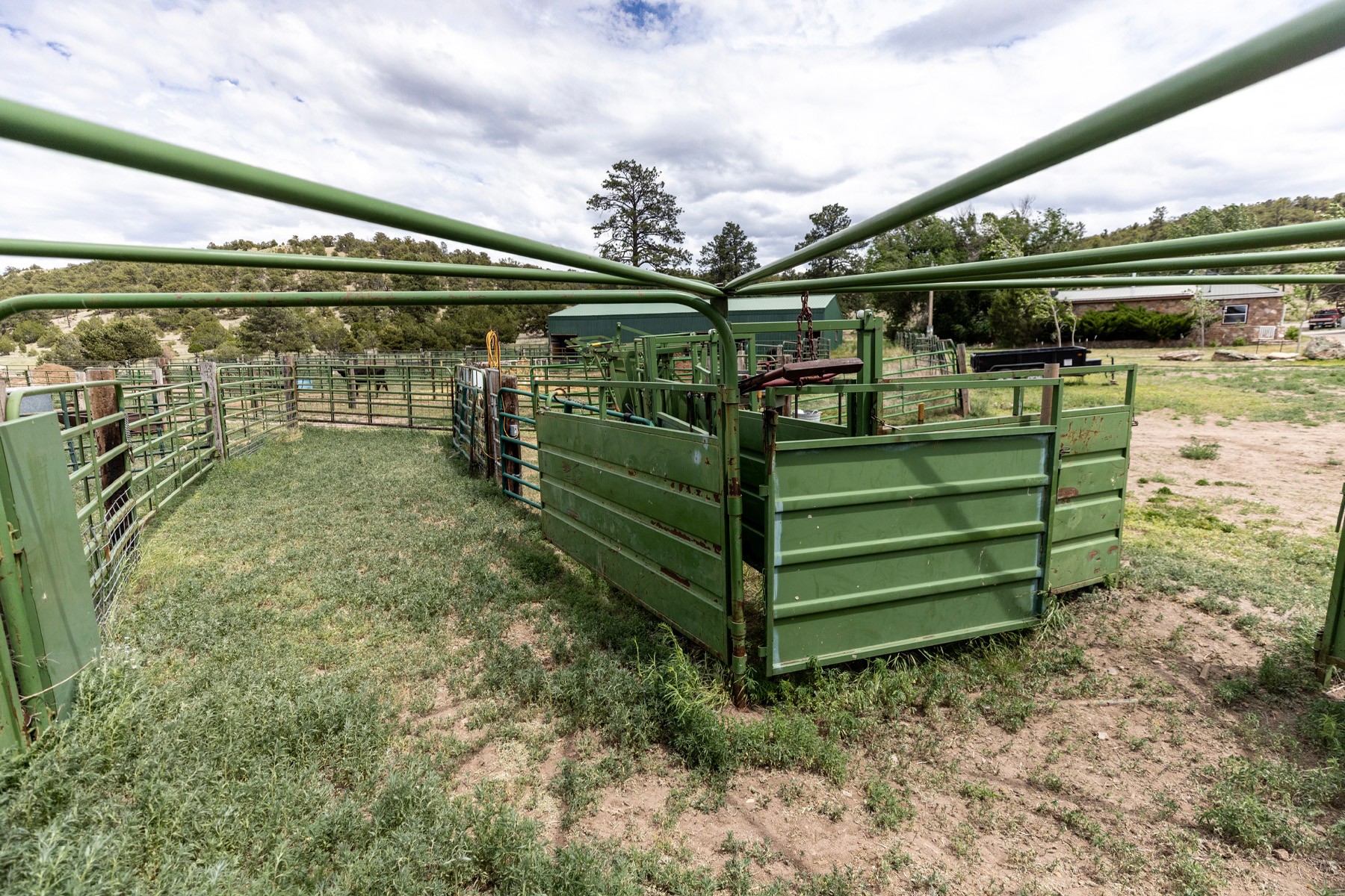 NEW LISTING‼ Bull Run Ranch... - Chas. S. Middleton and Son