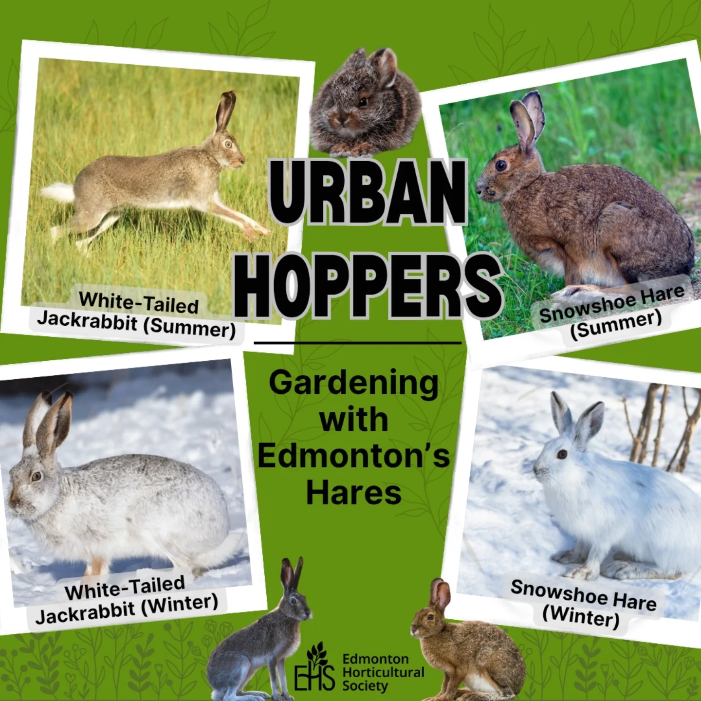 Edmonton Horticultural Society | Edmonton AB