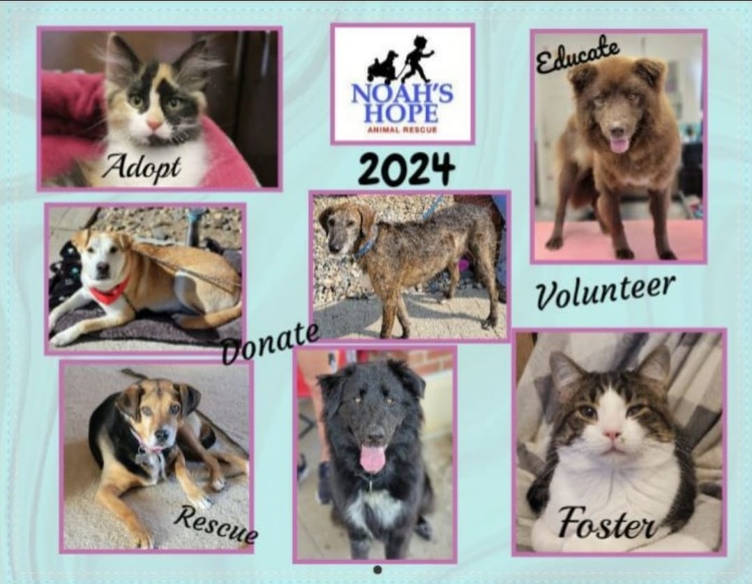 The 2024 Noah's Hope Animal... - Noah's Hope Animal Rescue | Facebook