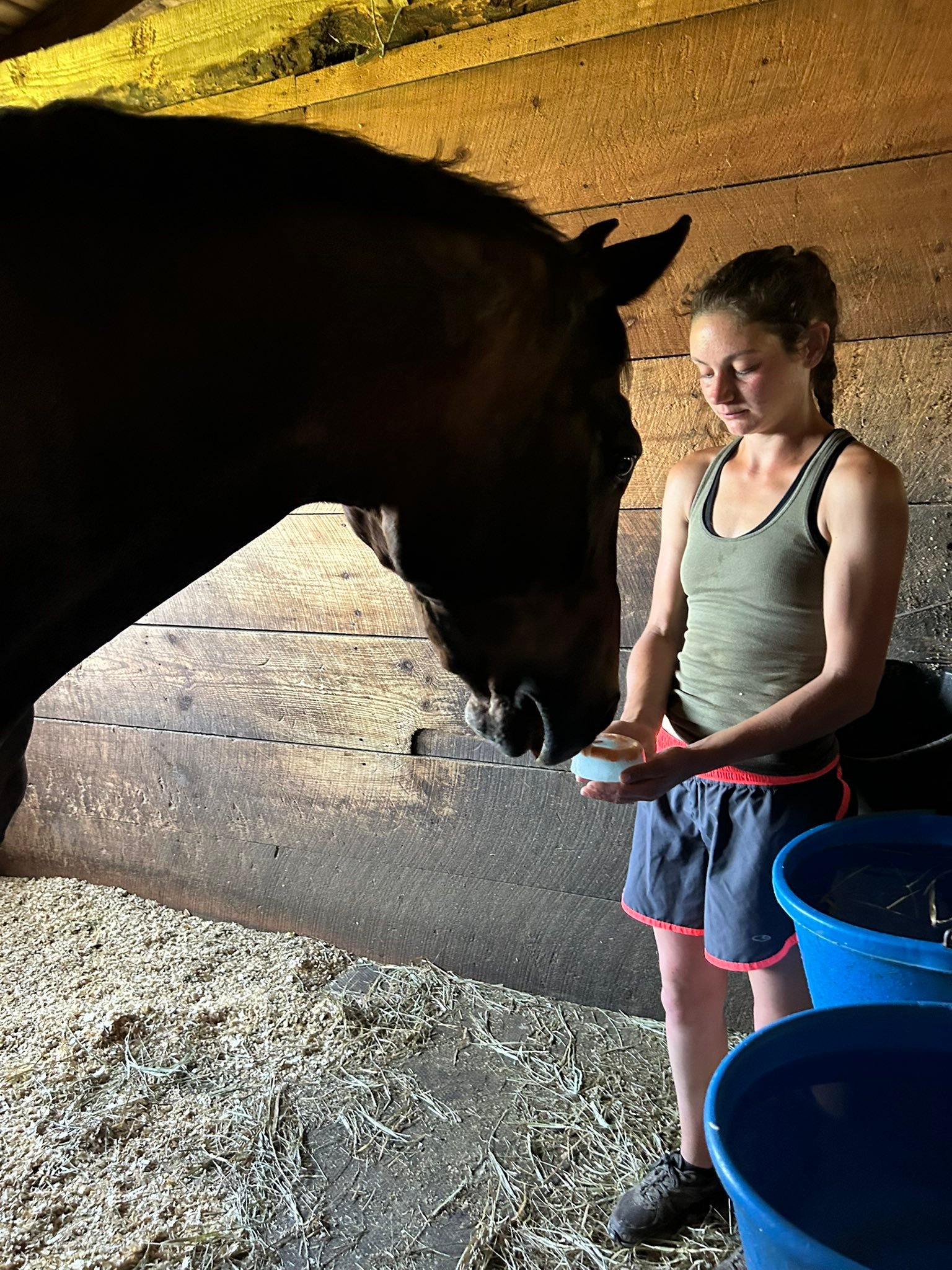 August Farm | Holliston MA