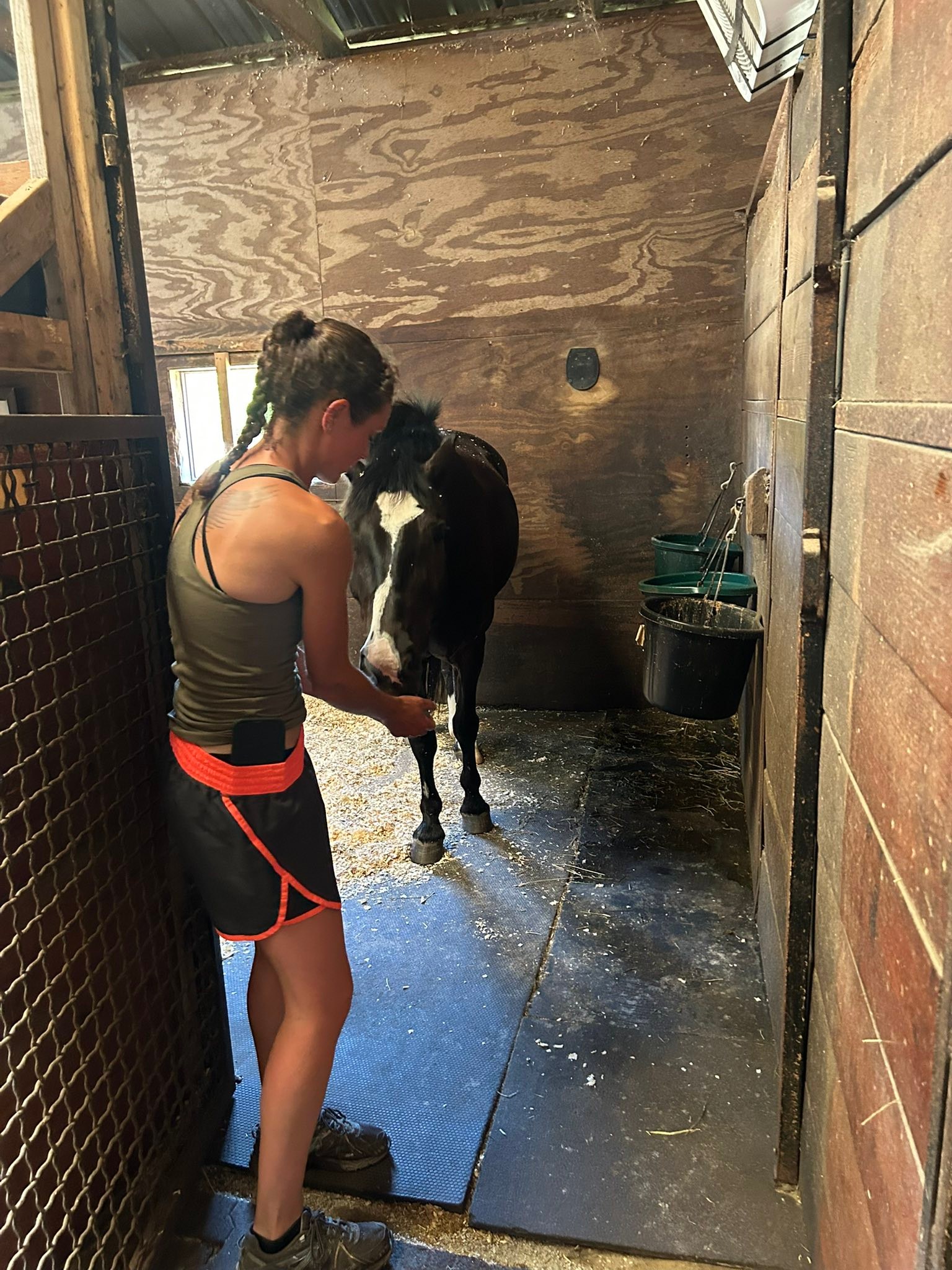 August Farm | Holliston MA