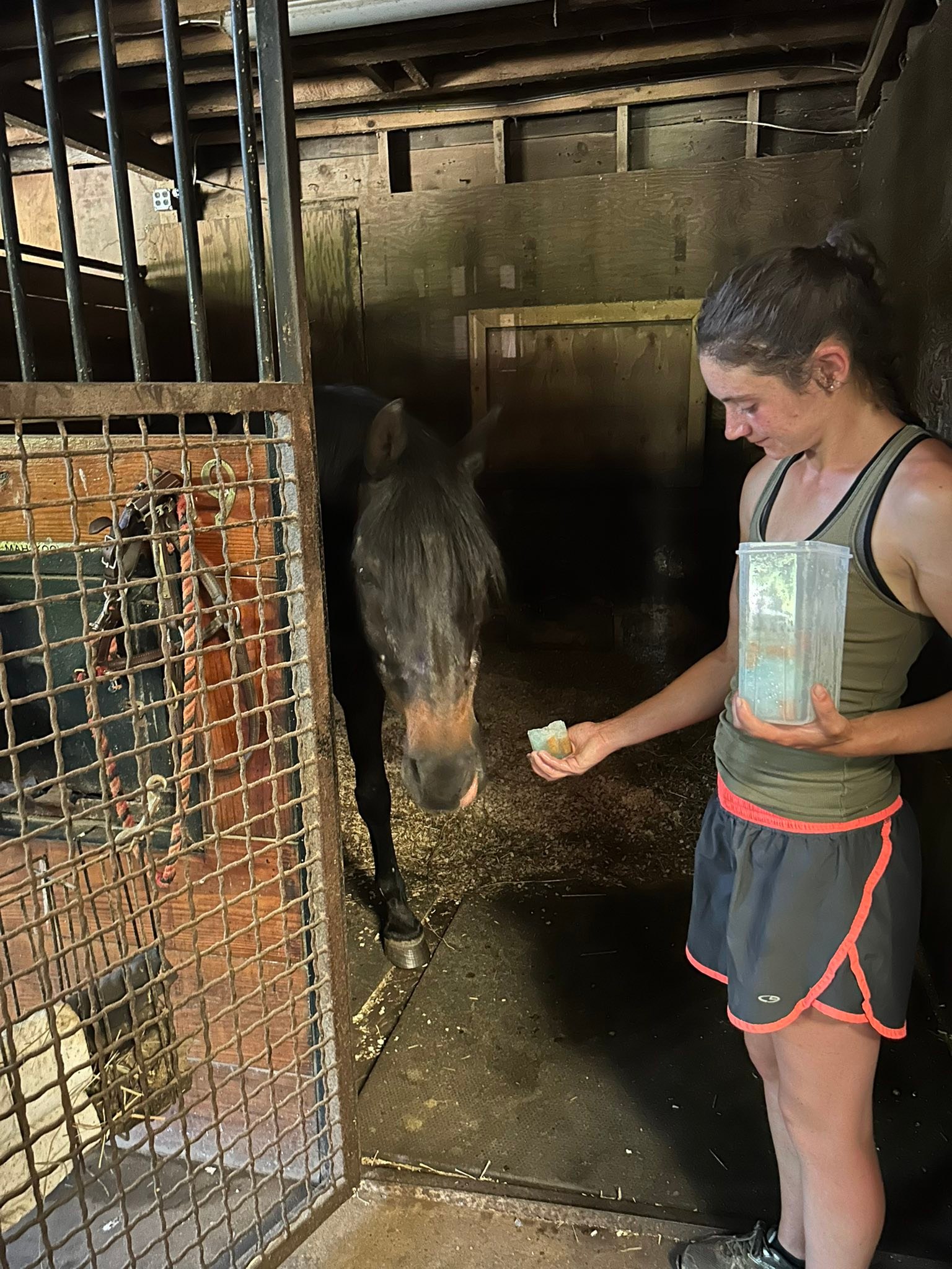August Farm | Holliston MA