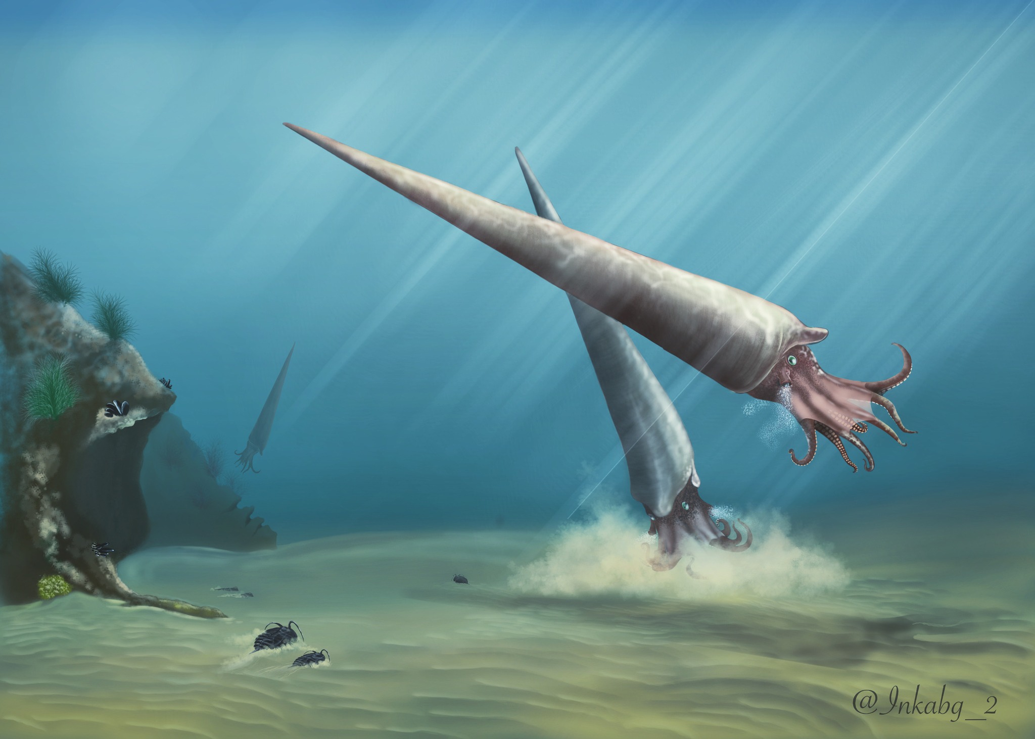Cameroceras es un género extinto... - Animales prehistóricos | Facebook