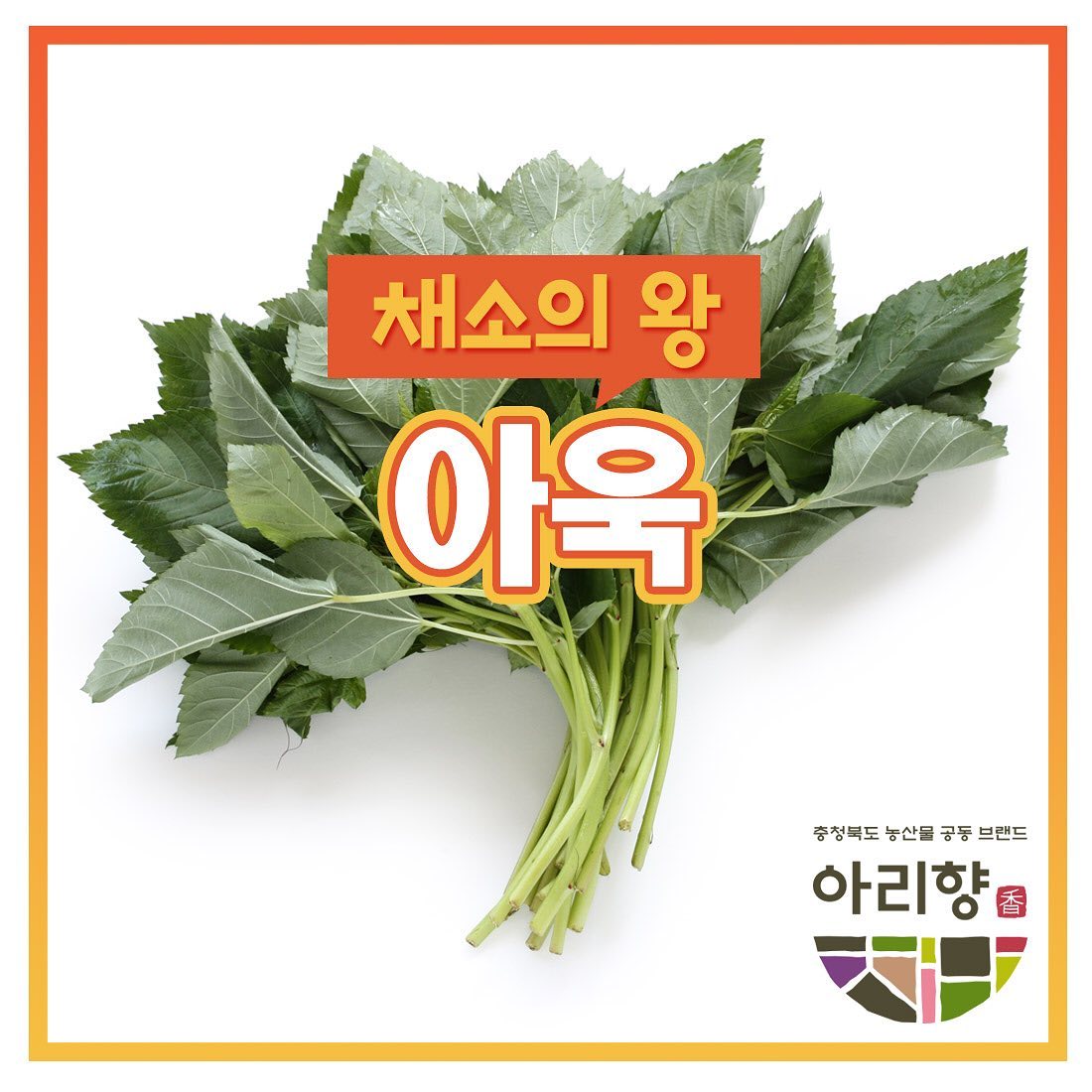 아리향 - #아욱 . . ️ 고르는 법 잎이 넓고 짙은 연녹색을 띠며, 줄기가 통통하고 부드러우며...