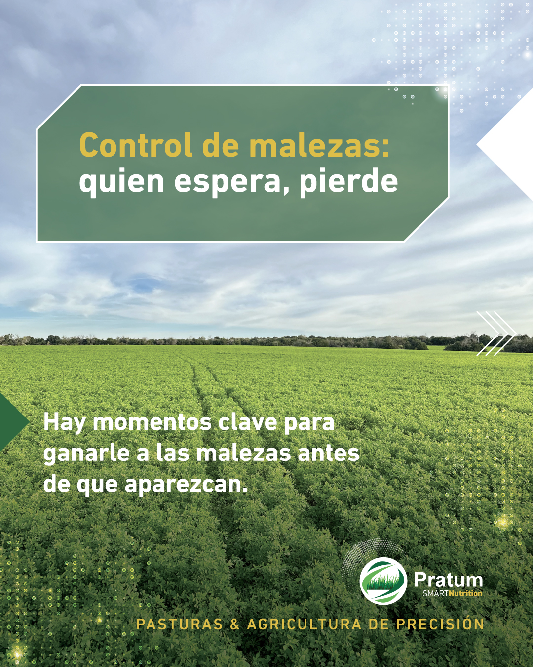 Pratum | Ciudad de Paysandú