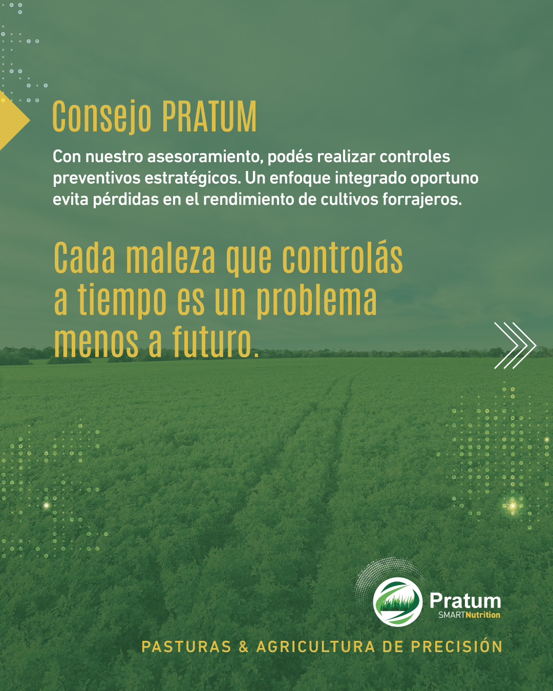Pratum | Ciudad de Paysandú