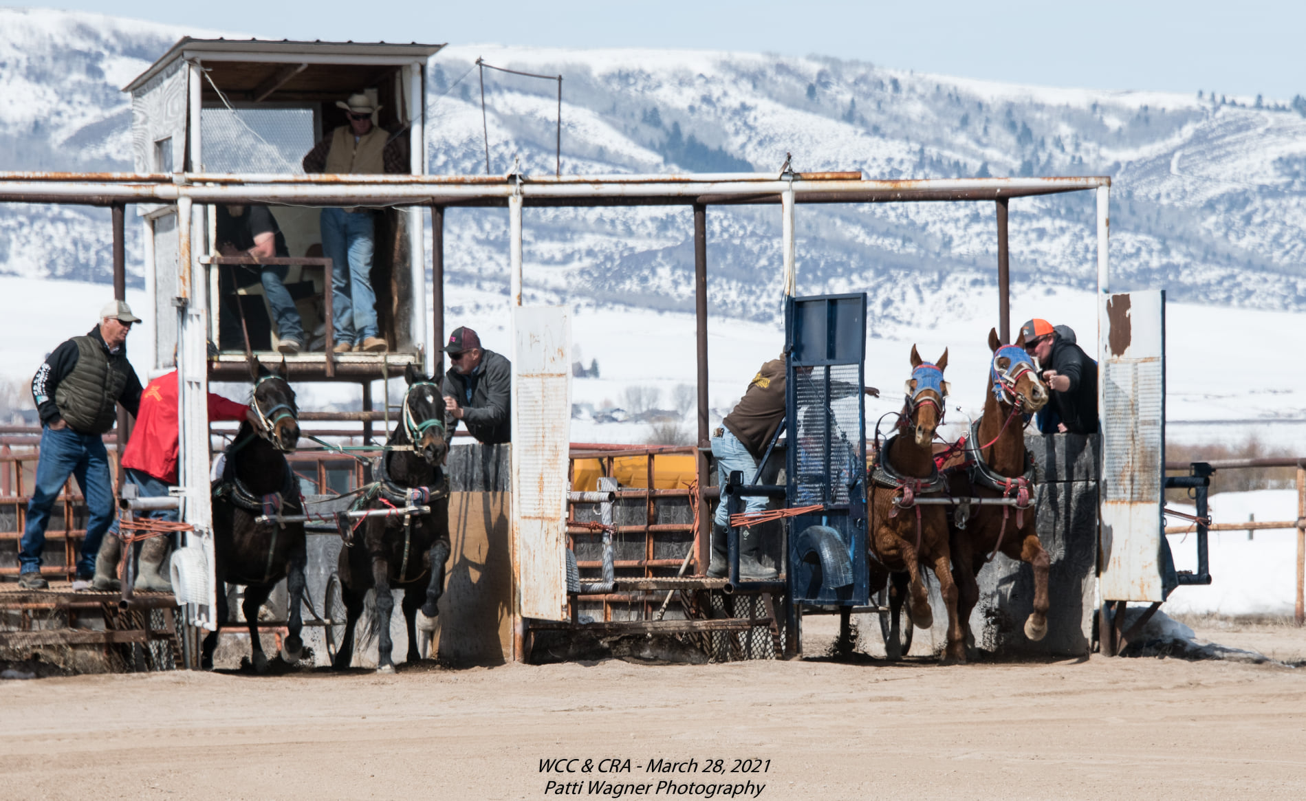 All... - All American Cutter/Chariot Races - Afton, WY