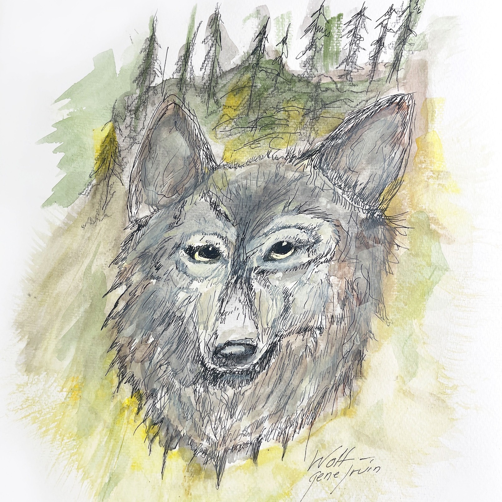 Gene’s Pen & Ink | Pinetop-Lakeside AZ