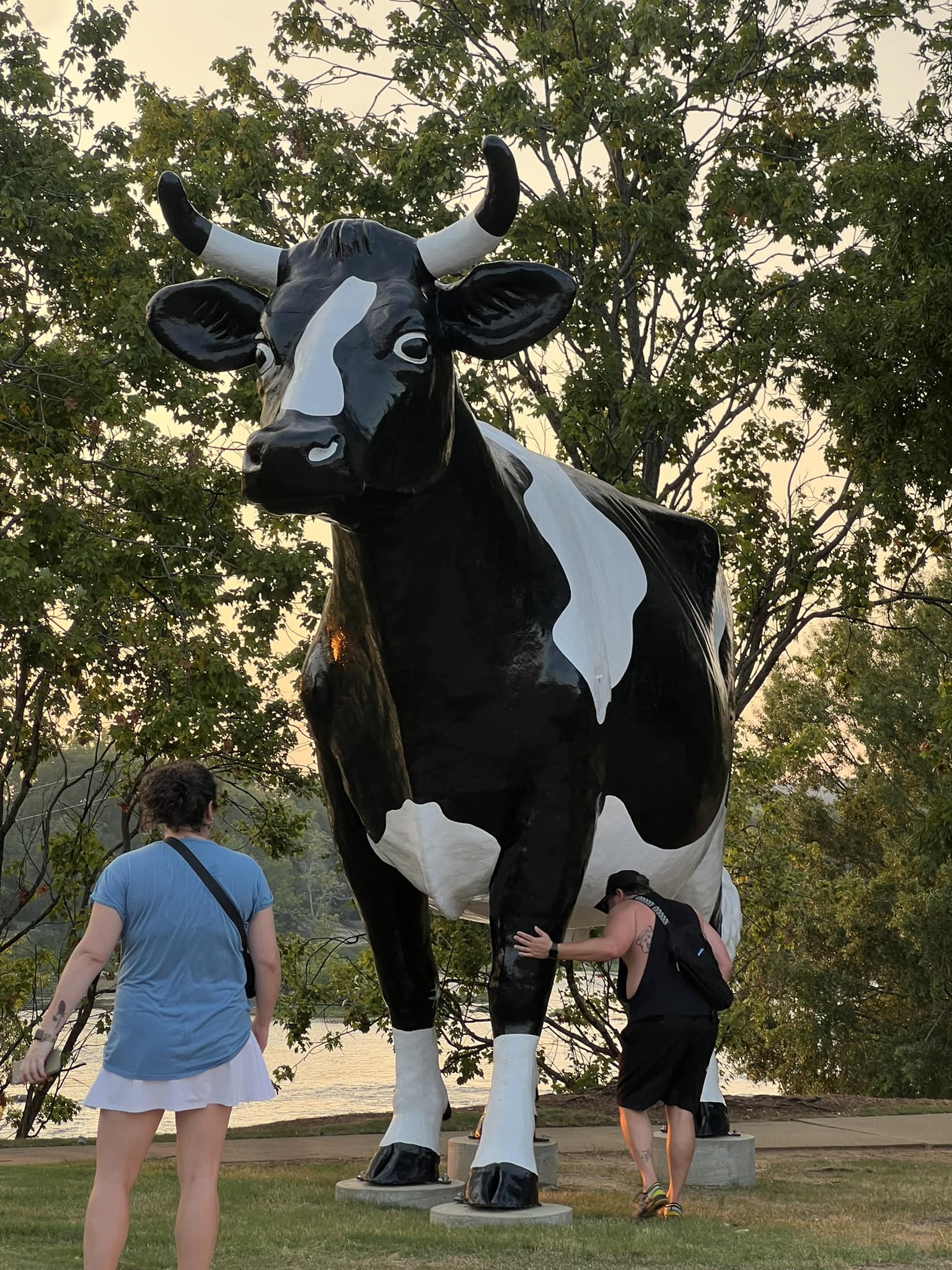瓦 ストリートスタイル 英字新聞 インテリア ガーデニング 牛/COW Kadie the cow statue in Columbus, GA