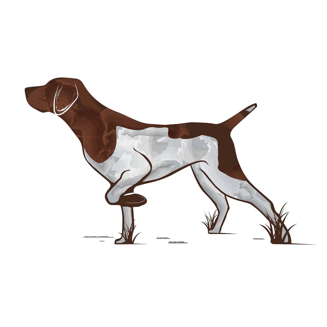 Bird Dog Shop by GSPoftheday - Typical day in the field with my GSP ...