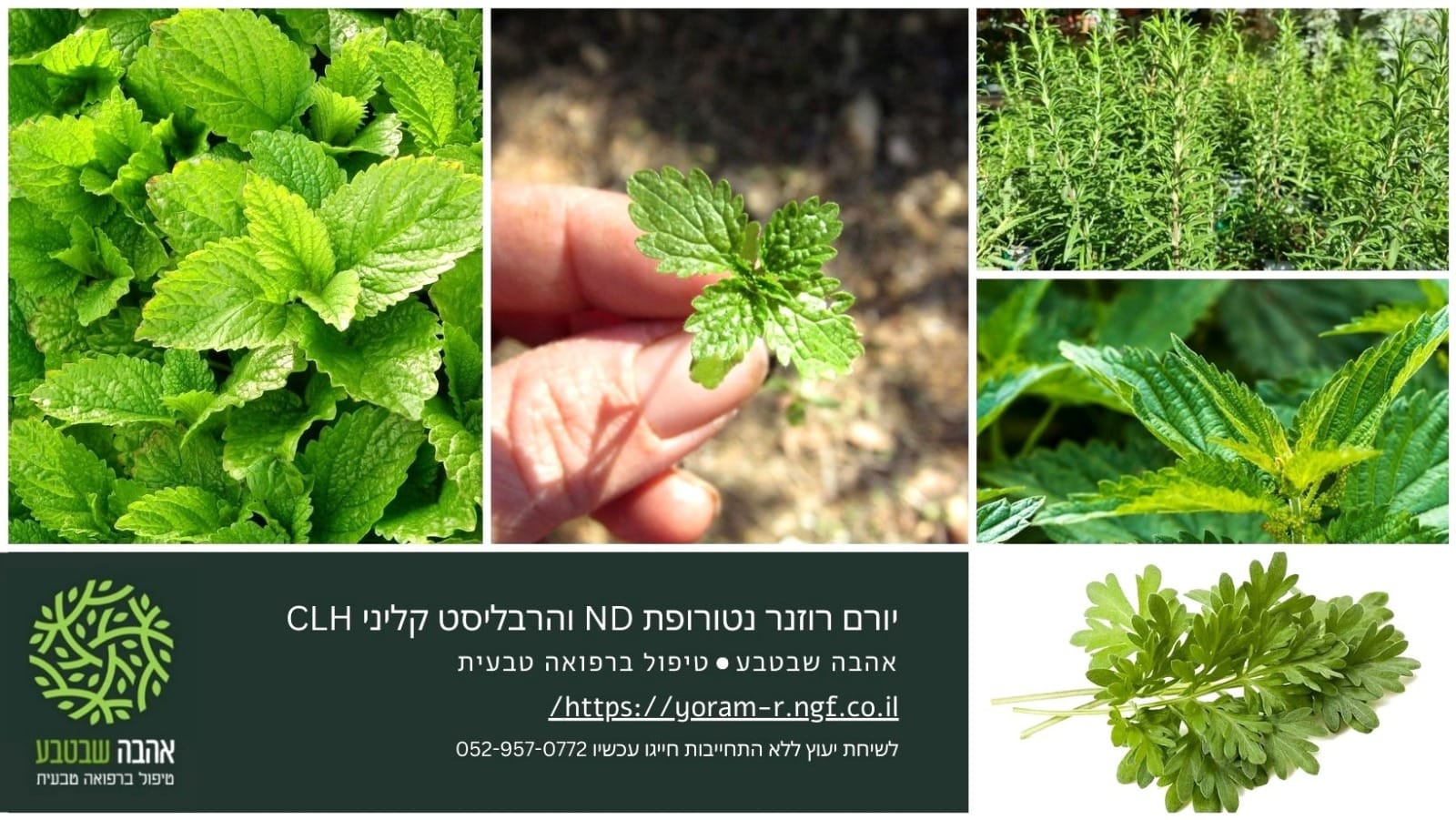 אהובה שעשוע - יום הולדת שמח! מזל טוב מאד!!! אושר. שמחת לב.... | Facebook