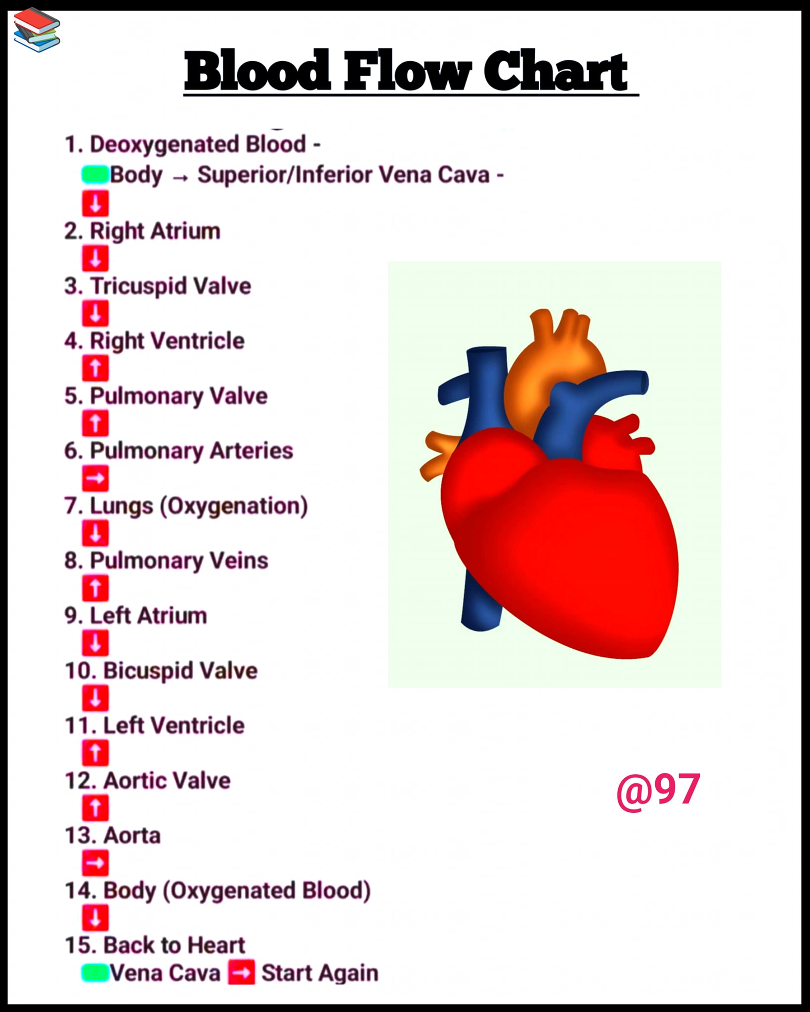 97 - Blood Flow Chart 🏓 #highlights2025 #fbpost2025シ ...