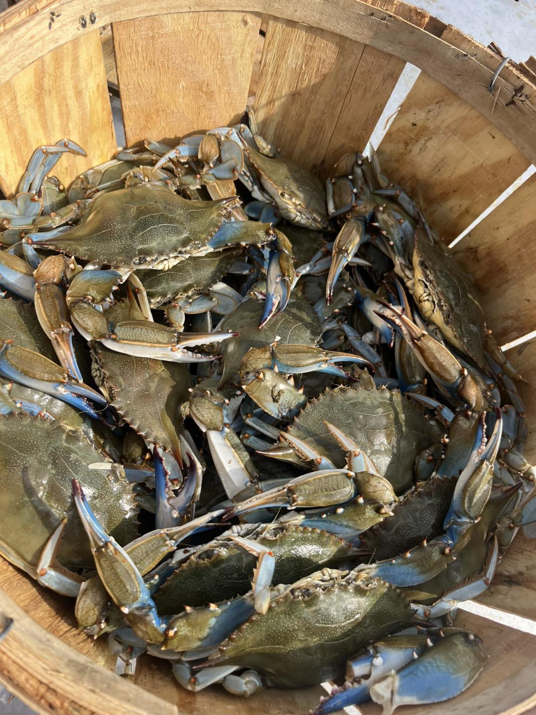 Our - Good morning! ☀️ Fresh crabs are in! All you can eat $40 per ...