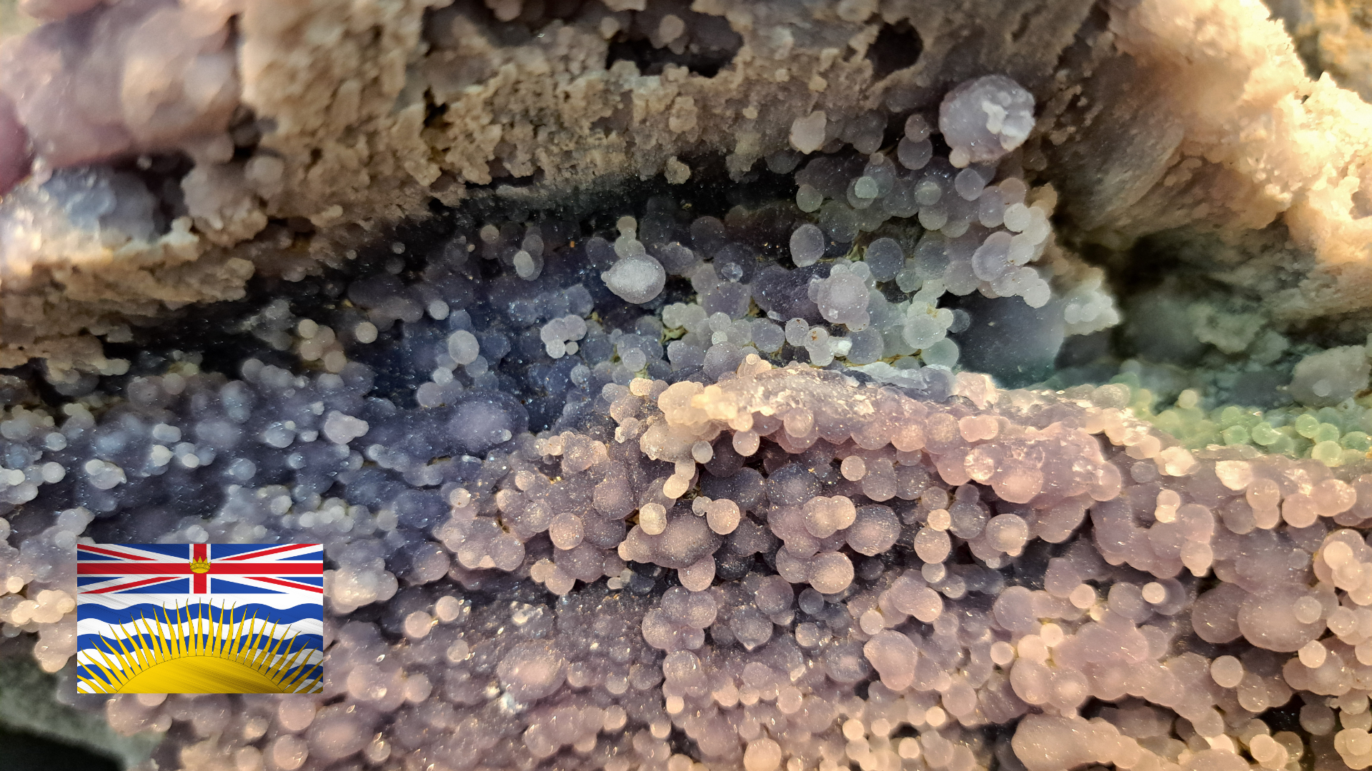 Mini Me Geology - Are you wondering if you have a limestone or marble ...