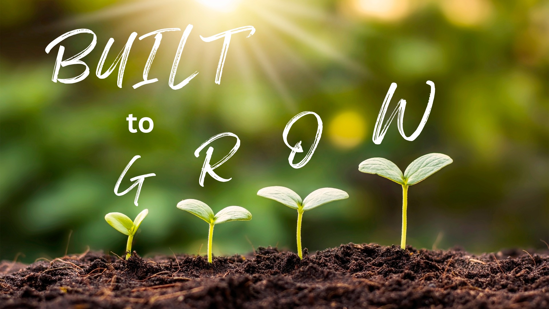 Trinity - 🚧 This Sunday at Trinity Worship Center 🚧 Sermon Title: Built ...