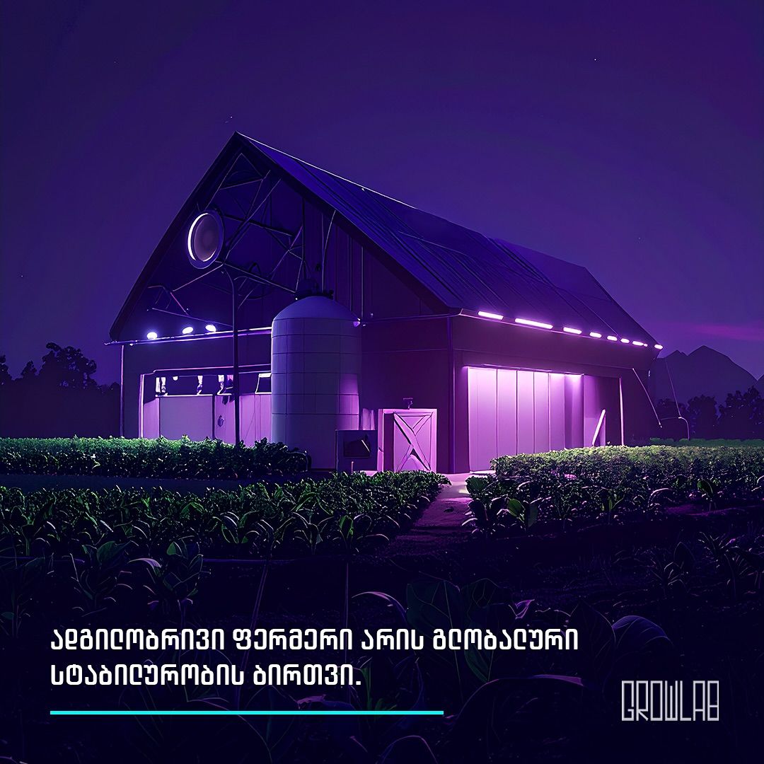Growlab • გროულაბი | Tbilisi