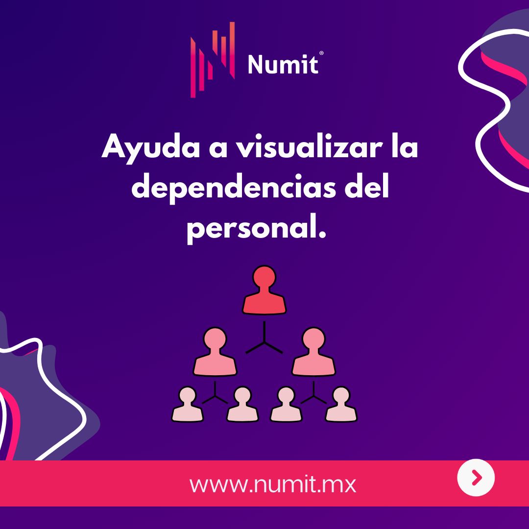 Numit - ¿Sabías que los organigramas pueden brindarte un...
