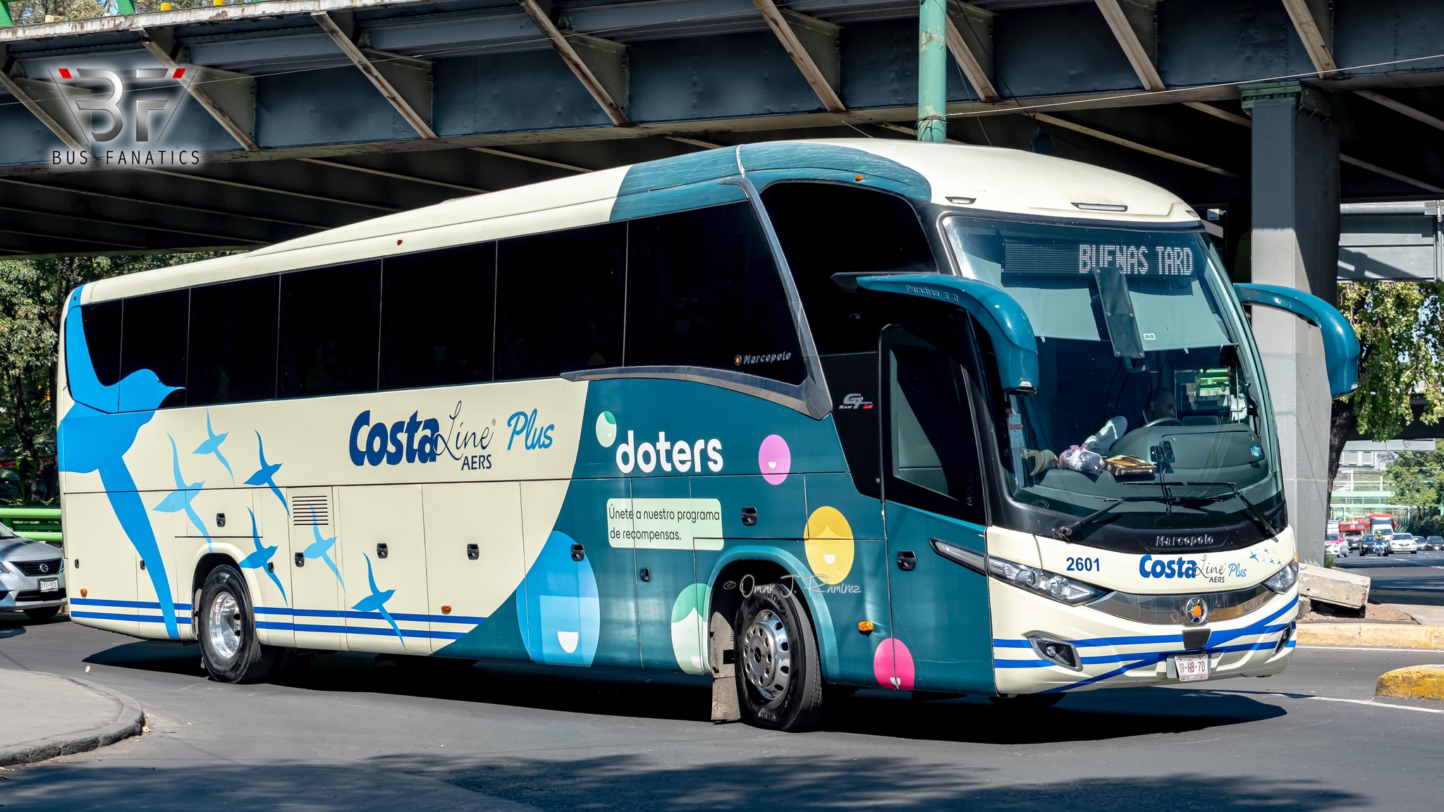 BusFanatics - Costa Line Plus MAN RR2 CO 19.480