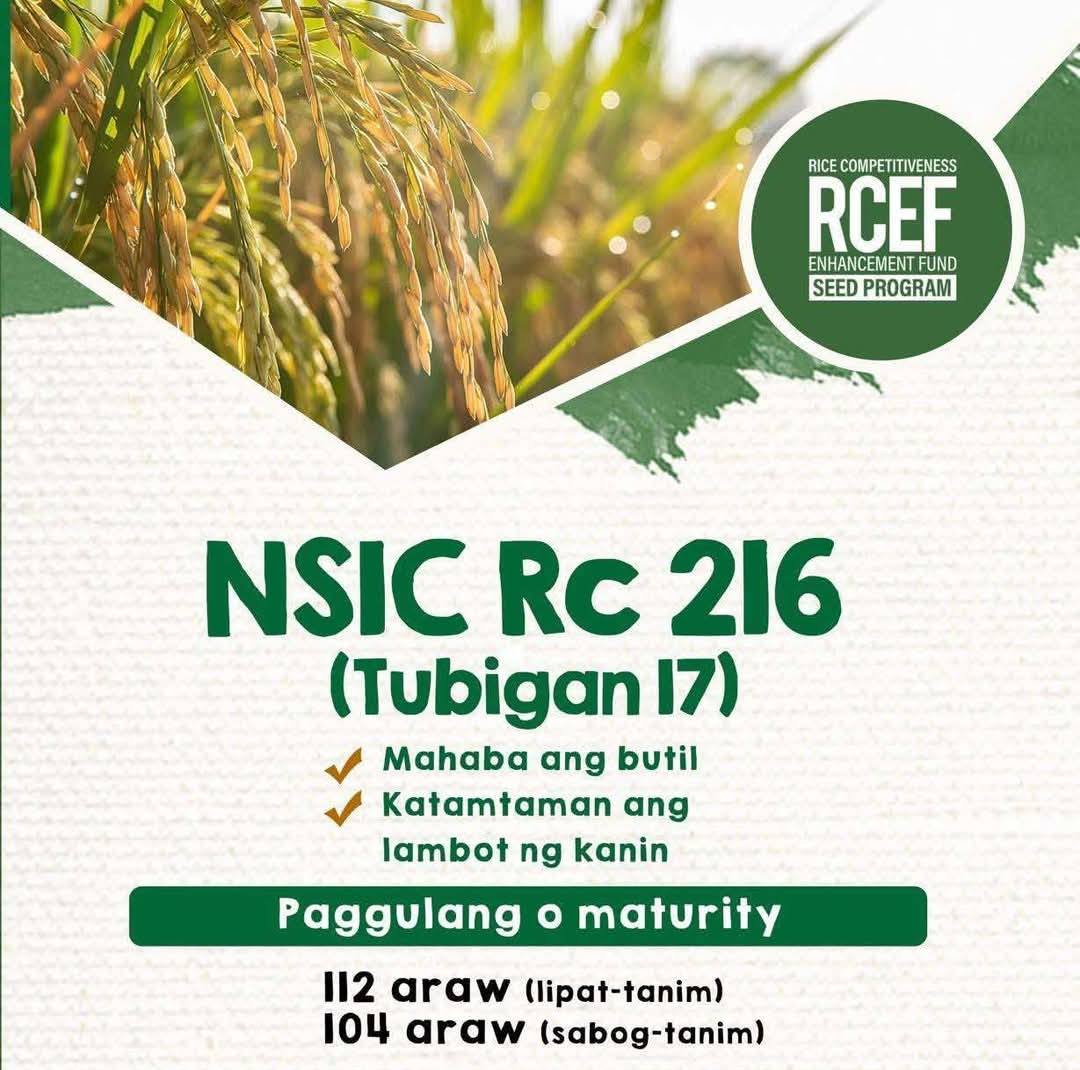 M. Dizon's Agricultural Supply | Infanta
