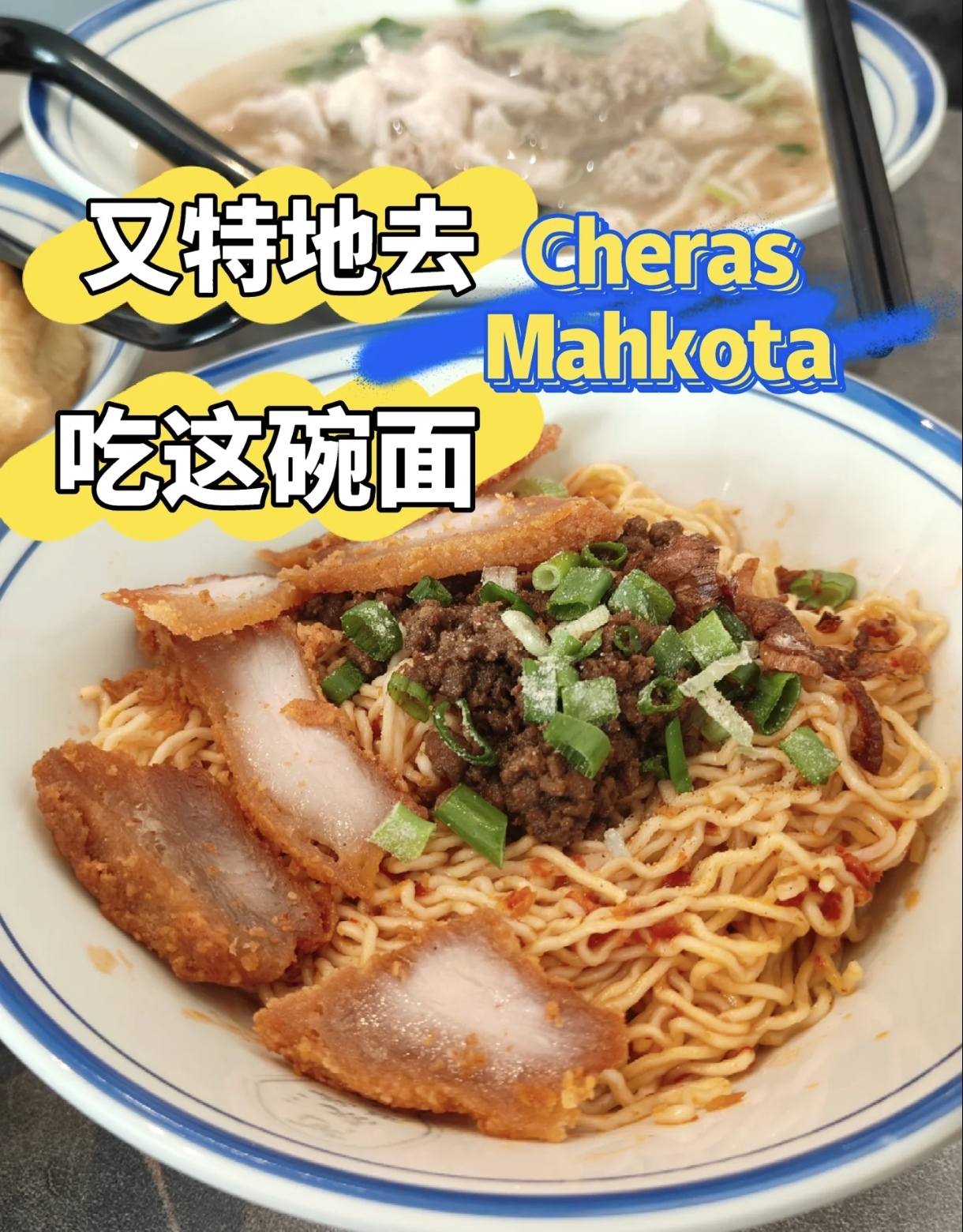 芙蓉阿叔滑鸡饭 Ah Shu... - 芙蓉阿叔滑鸡饭 Ah Shu Seremban Chicken Rice