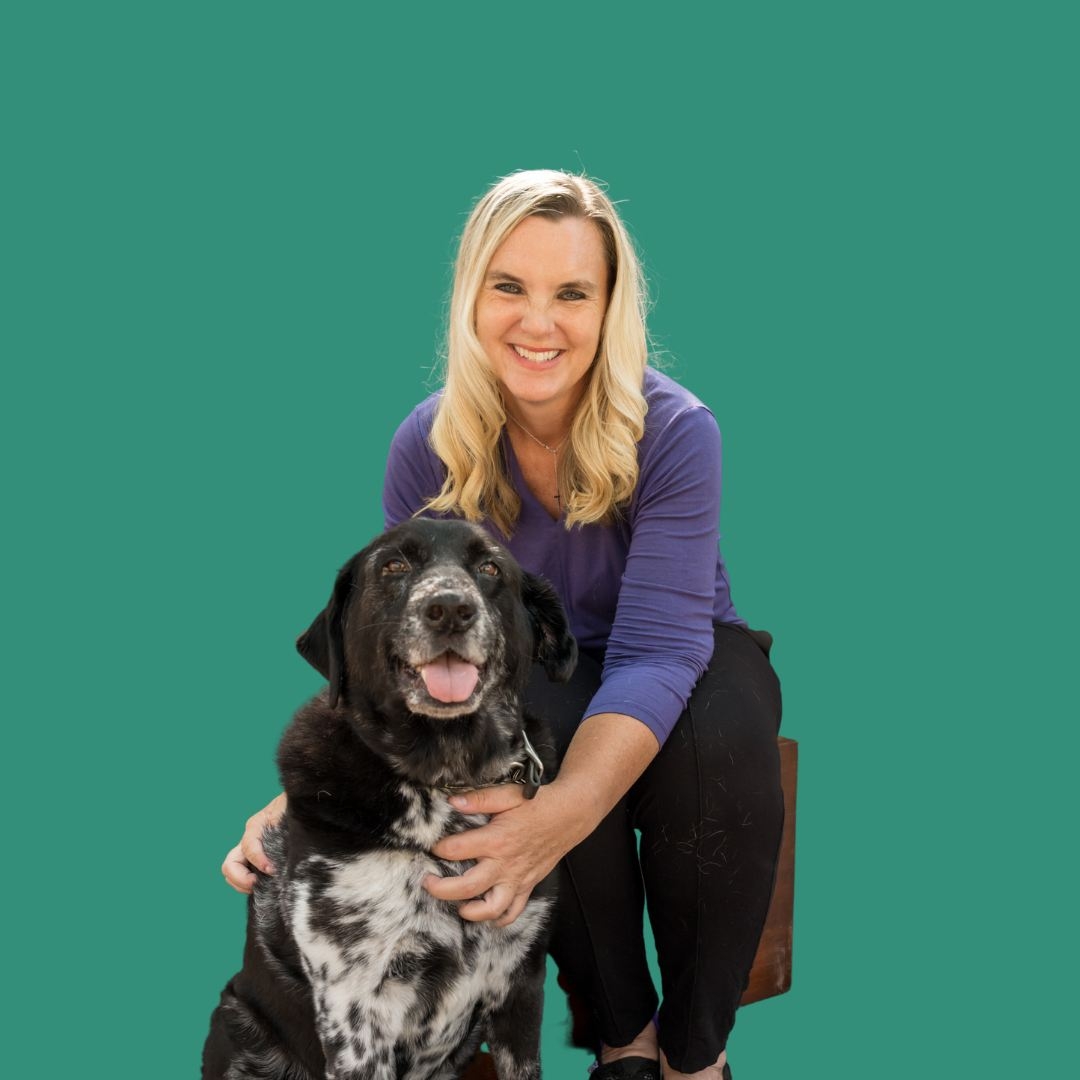 Body language What your dog is telling you when they have different ...