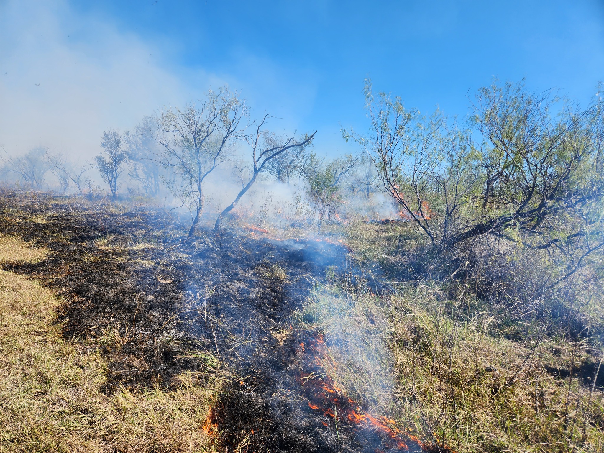 Last week, TPWD was able to take part in a prescribed burn with a ...